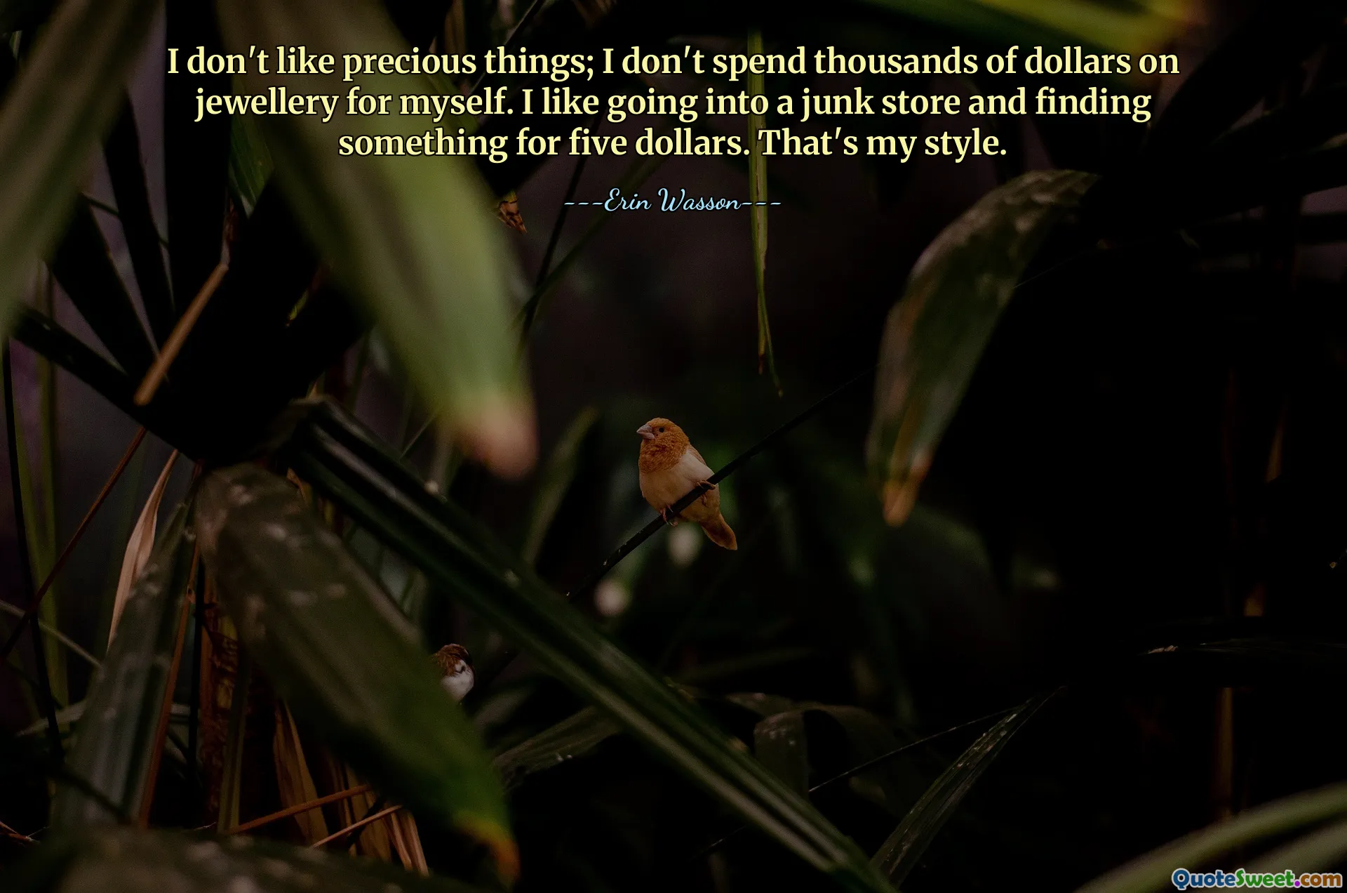 Saya tidak menyukai hal-hal yang berharga; Saya tidak menghabiskan ribuan dolar untuk membeli perhiasan untuk diri saya sendiri. Saya suka pergi ke toko barang bekas dan mencari sesuatu seharga lima dolar. Itu gayaku.