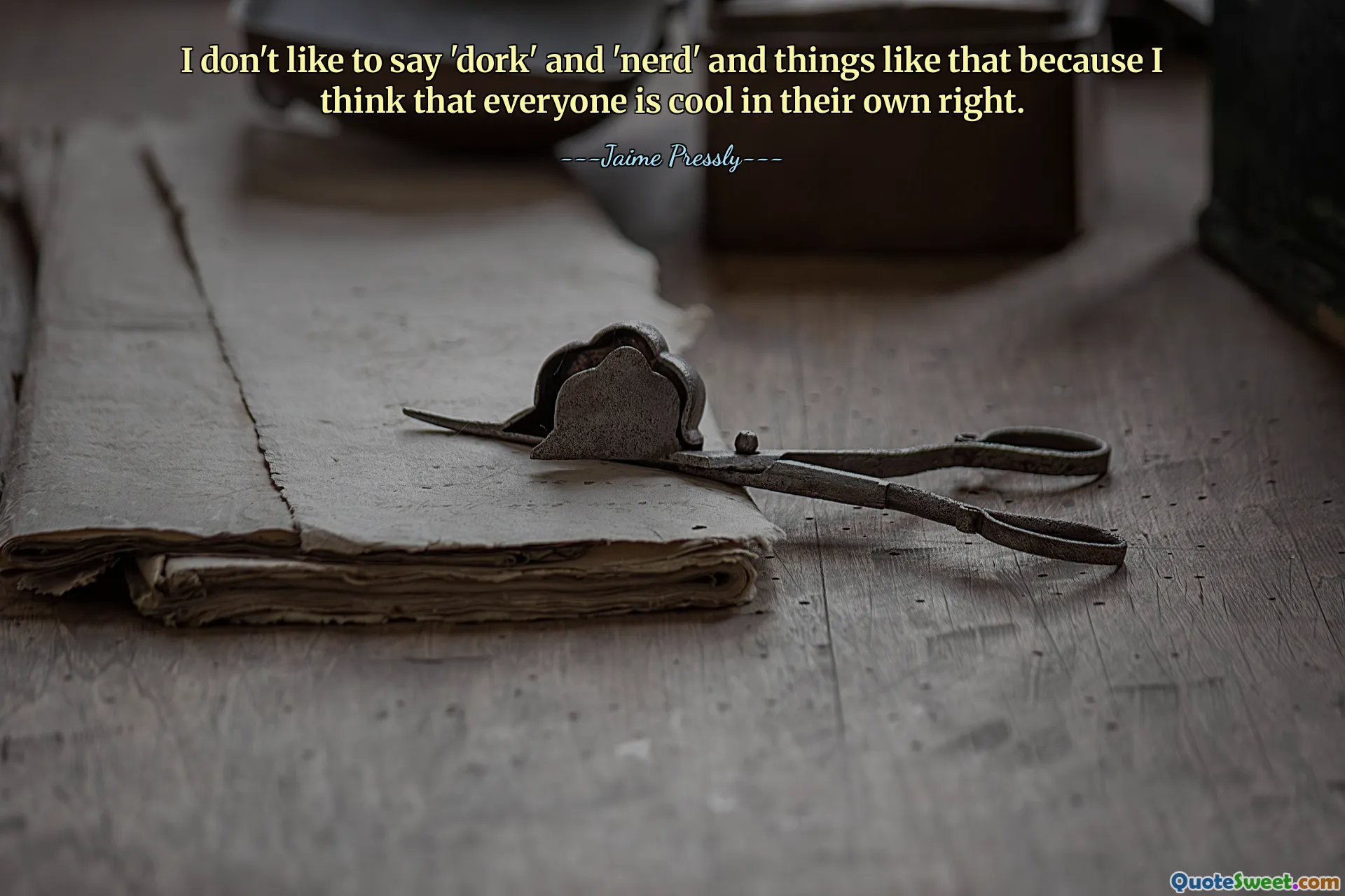 I don't like to say 'dork' and 'nerd' and things like that because I think that everyone is cool in their own right.