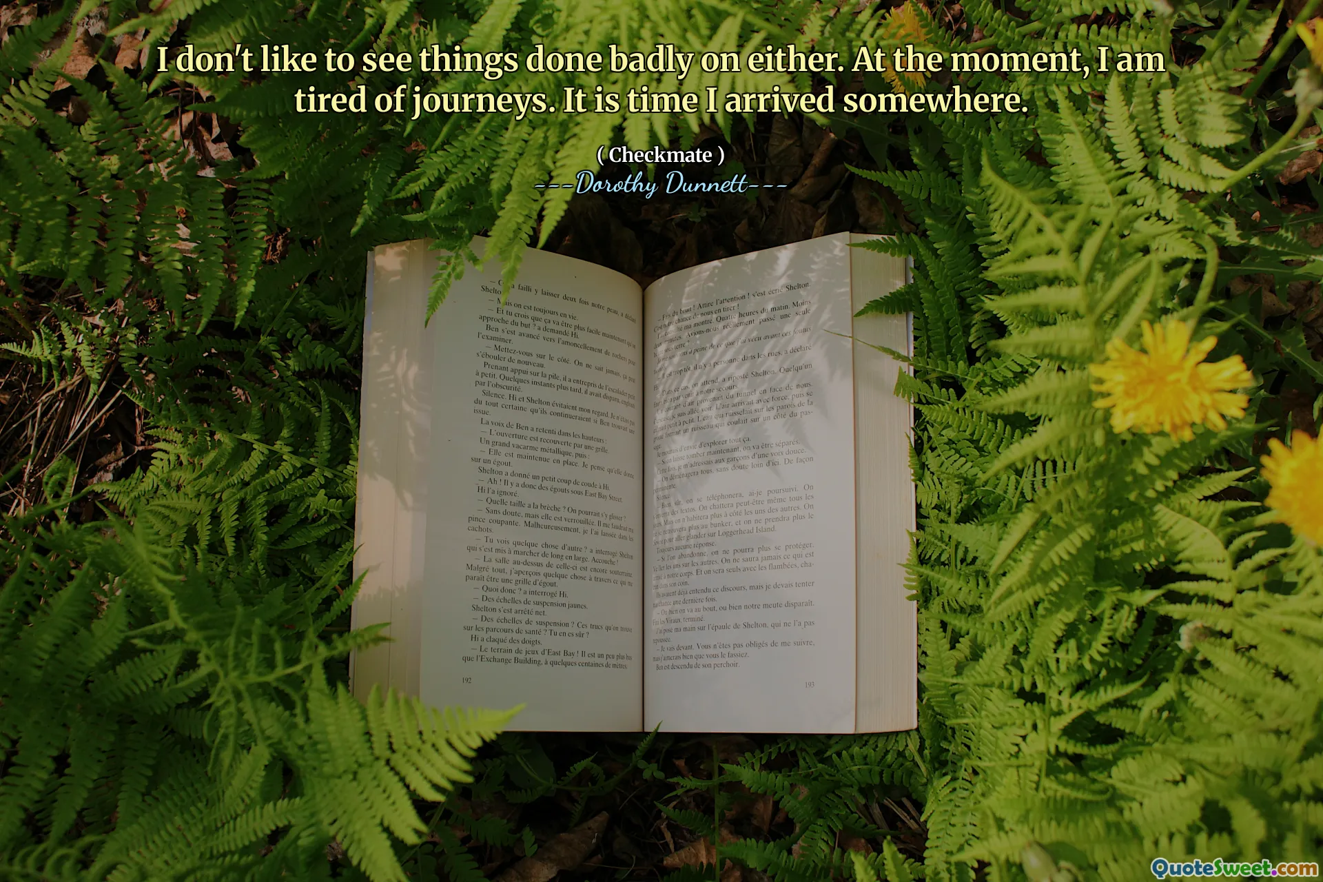 I don't like to see things done badly on either. At the moment, I am tired of journeys. It is time I arrived somewhere.