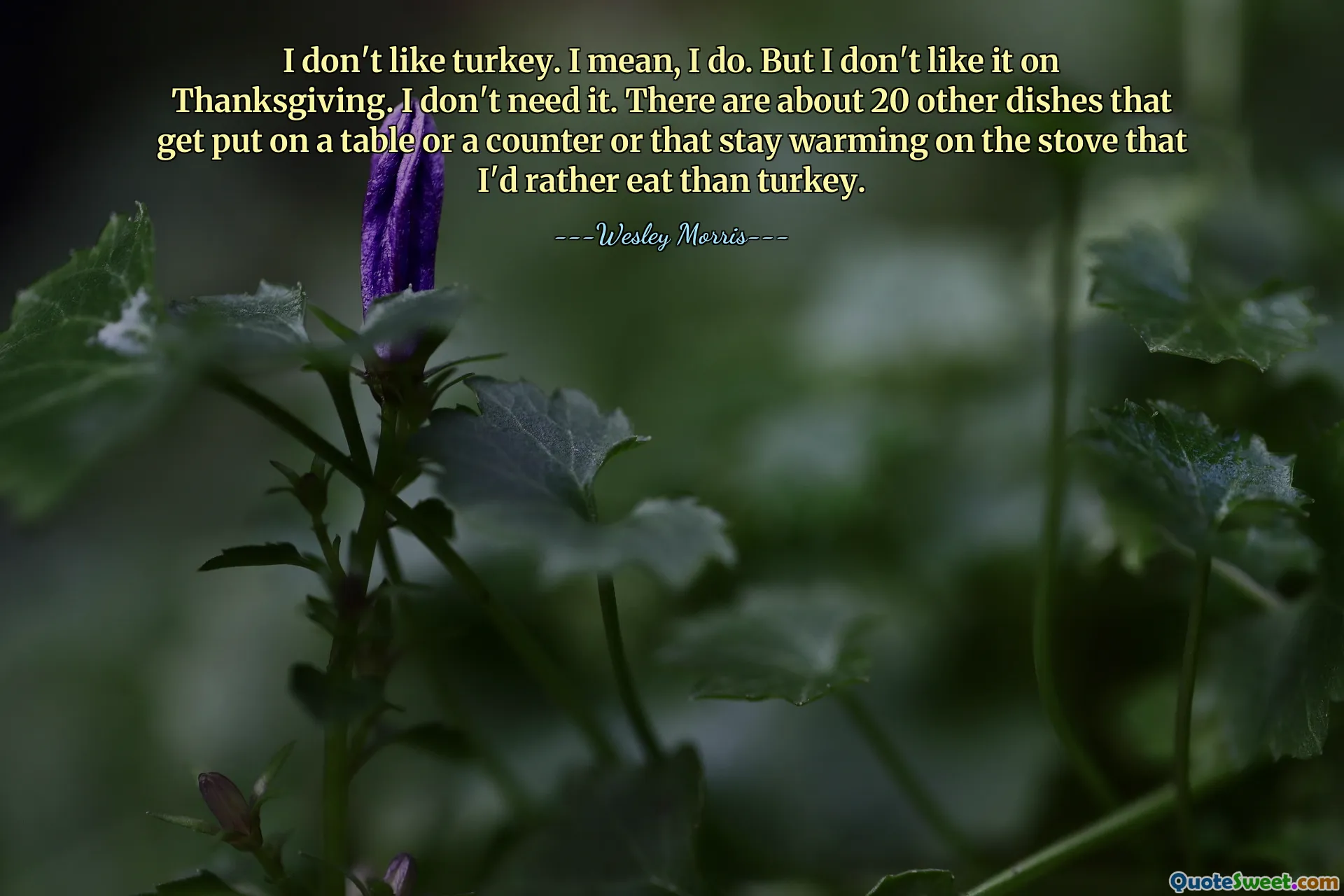 I don't like turkey. I mean, I do. But I don't like it on Thanksgiving. I don't need it. There are about 20 other dishes that get put on a table or a counter or that stay warming on the stove that I'd rather eat than turkey.