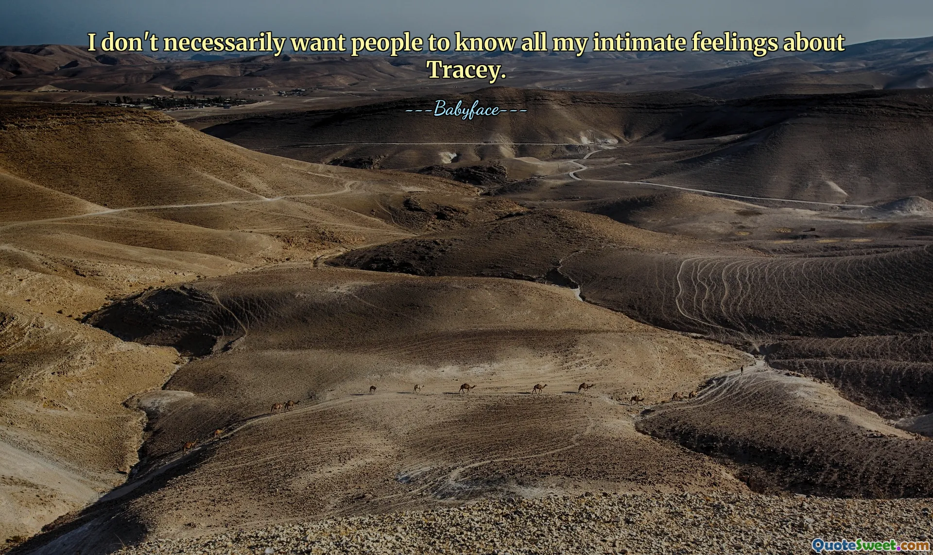 I don't necessarily want people to know all my intimate feelings about Tracey.