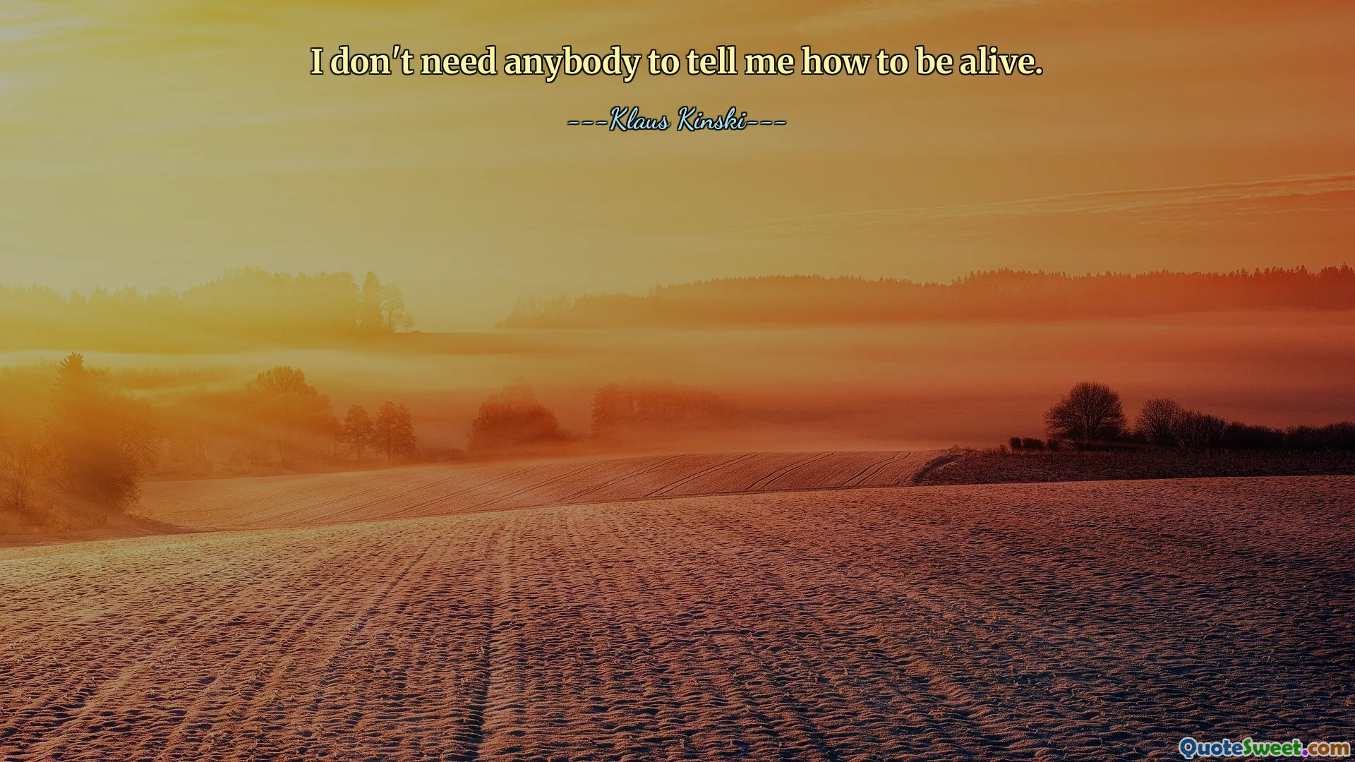 Nepotřebuji, aby mi někdo říkal, jak mám být naživu.