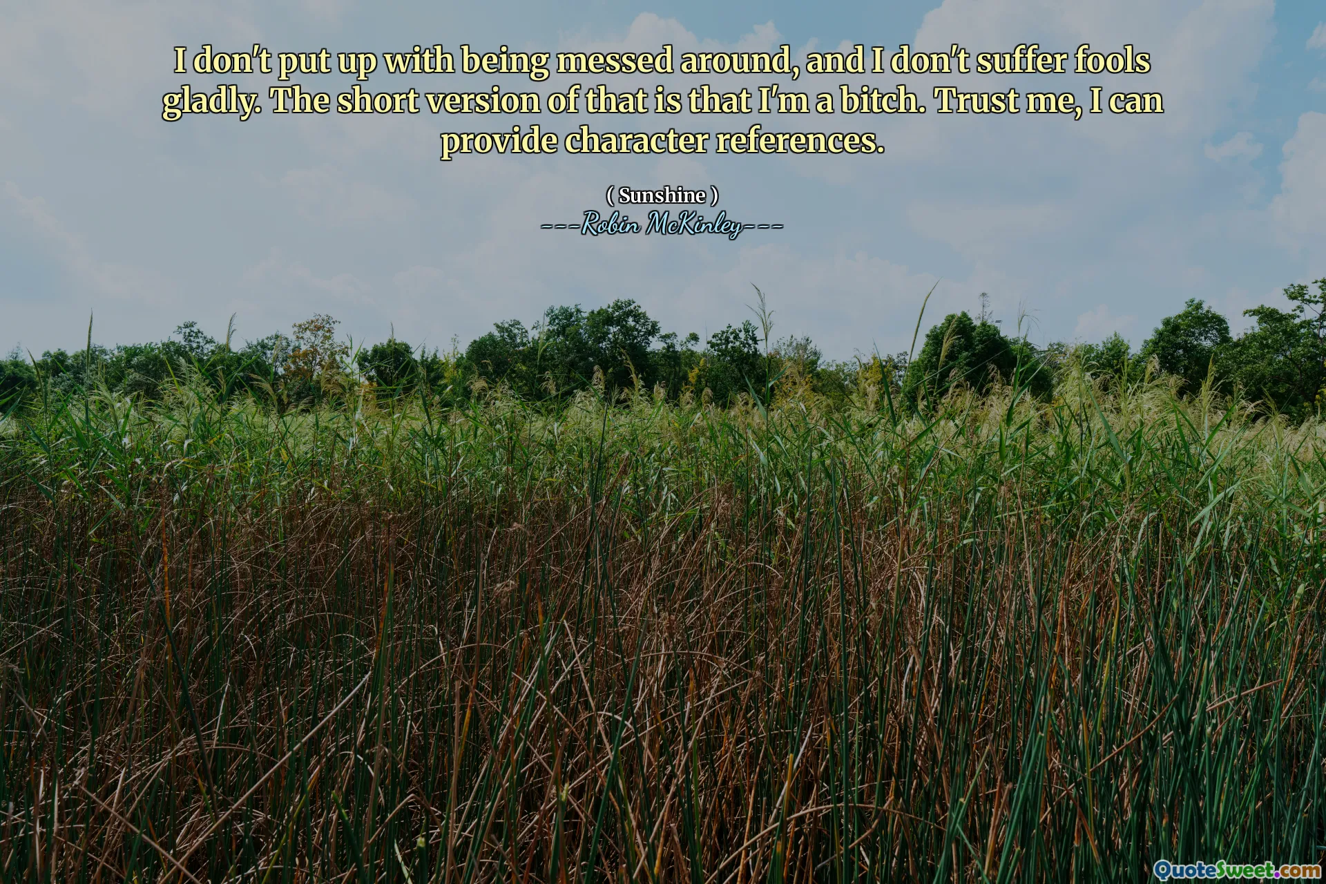 No soporto que me molesten y no soporto a los tontos con gusto. La versión corta de eso es que soy una perra. Créame, puedo proporcionarle referencias de personajes.