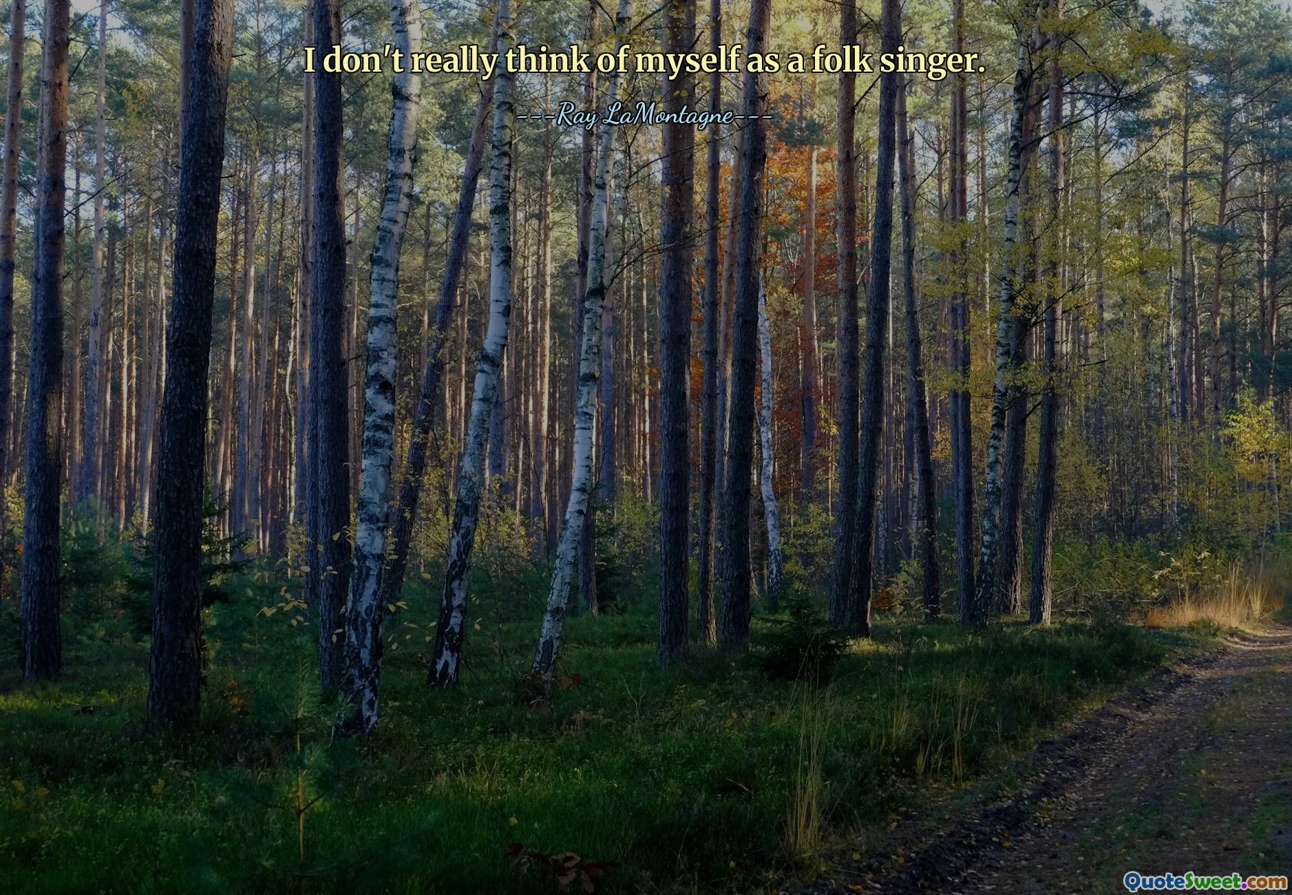 Non mi considero davvero una cantante folk.