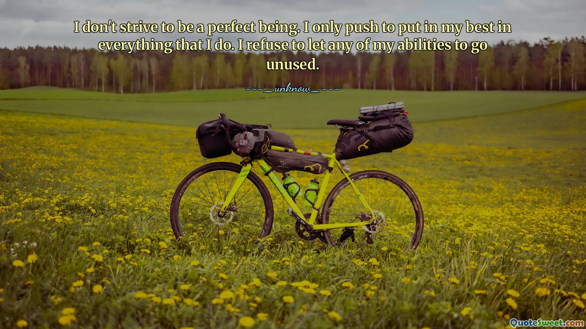 I don't strive to be a perfect being. I only push to put in my best in everything that I do. I refuse to let any of my abilities to go unused.