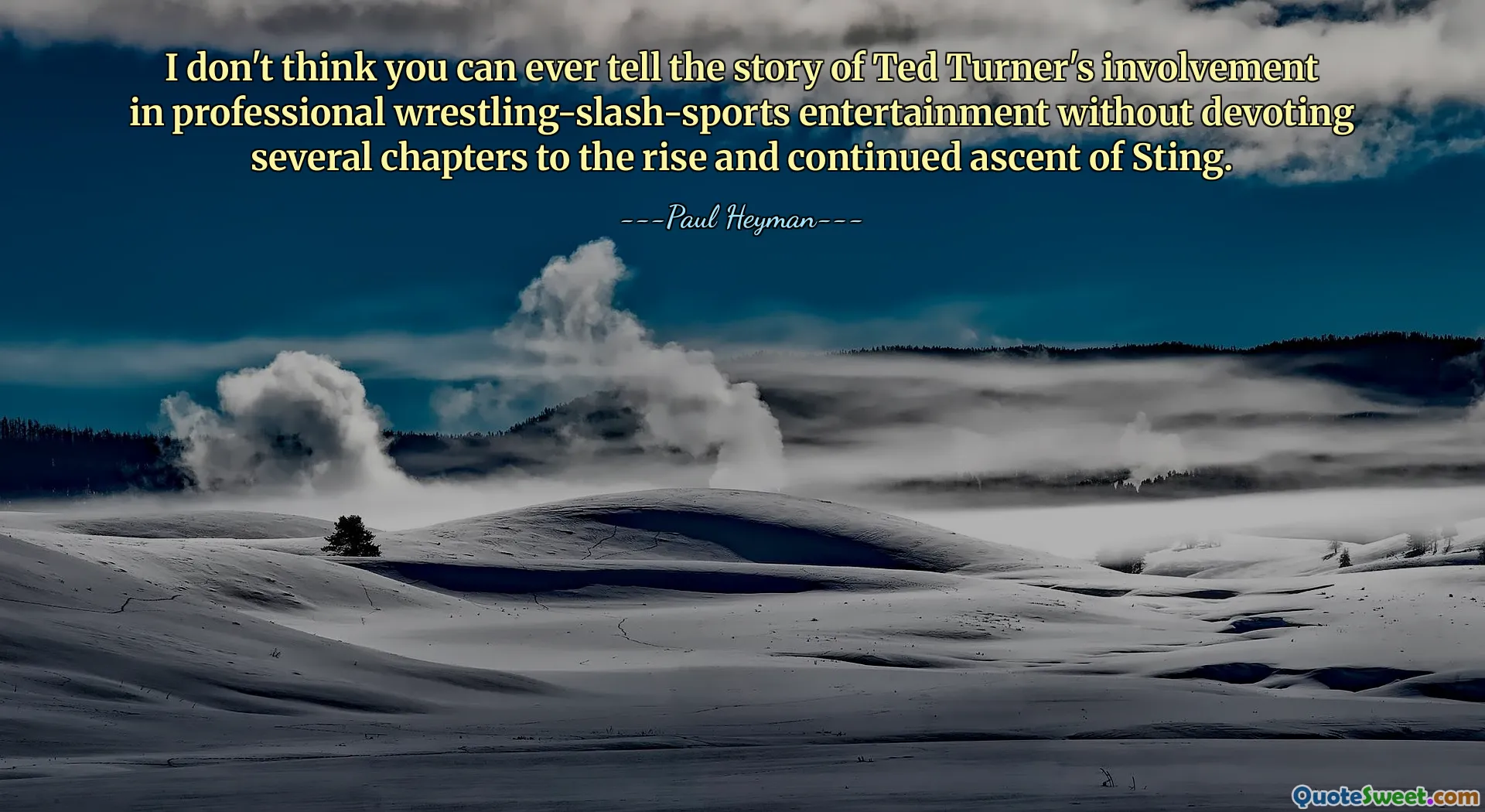 मुझे नहीं लगता कि आप स्टिंग के उत्थान और निरंतर आगे बढ़ने के लिए कई अध्याय समर्पित किए बिना पेशेवर कुश्ती-स्लैश-स्पोर्ट्स मनोरंजन में टेड टर्नर की भागीदारी की कहानी बता सकते हैं।