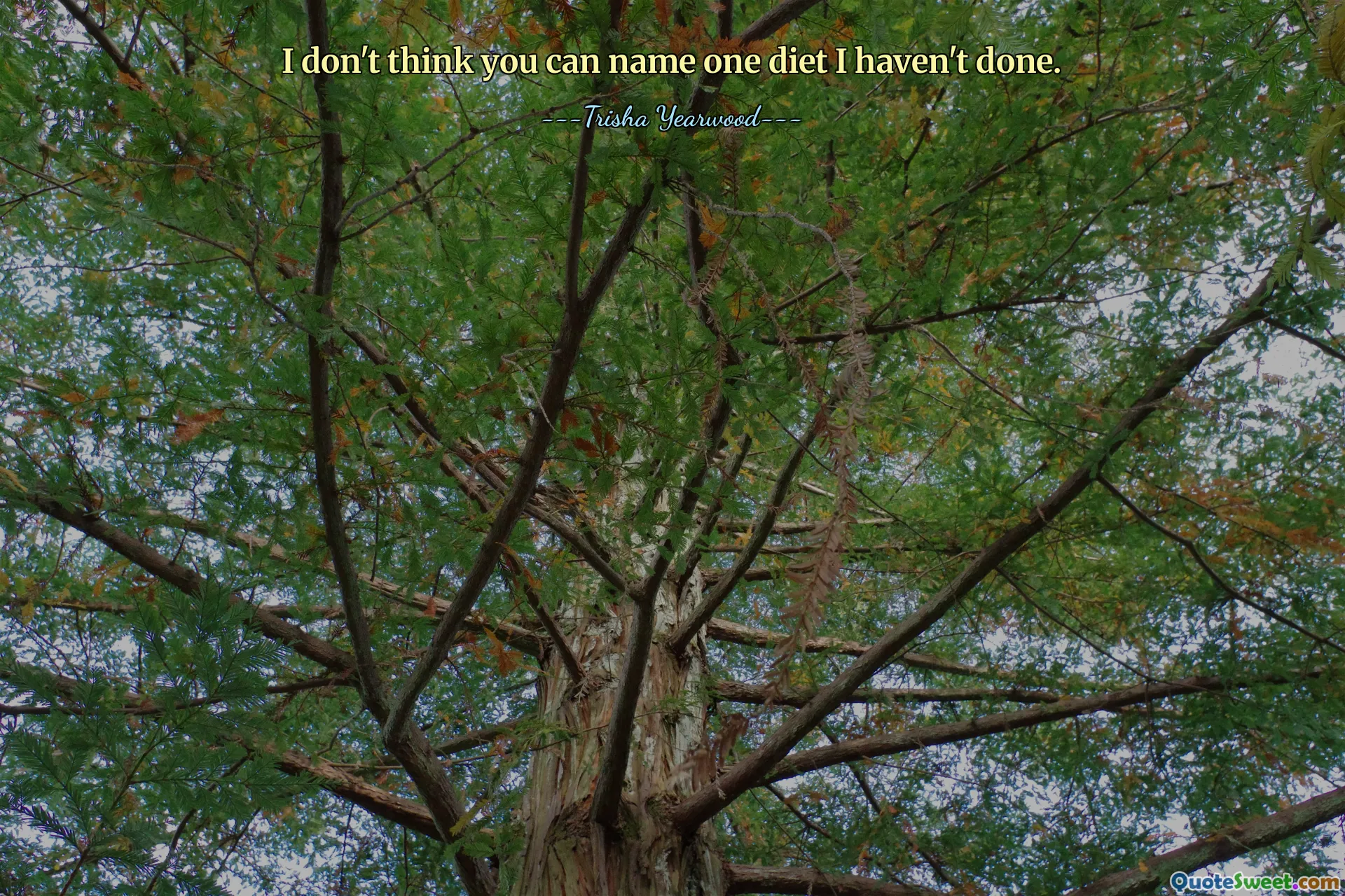 I don't think you can name one diet I haven't done.