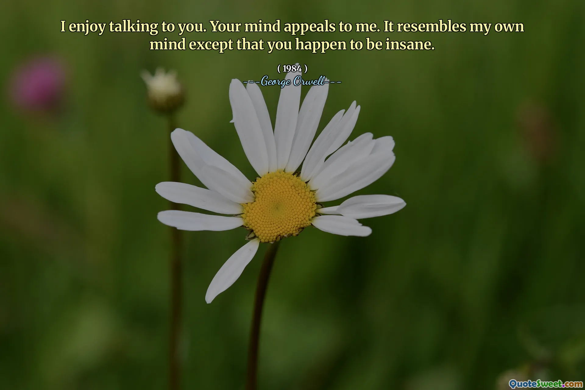 Jag tycker om att prata med dig. Ditt sinne tilltalar mig. Det liknar mitt eget sinne förutom att du råkar vara galen.