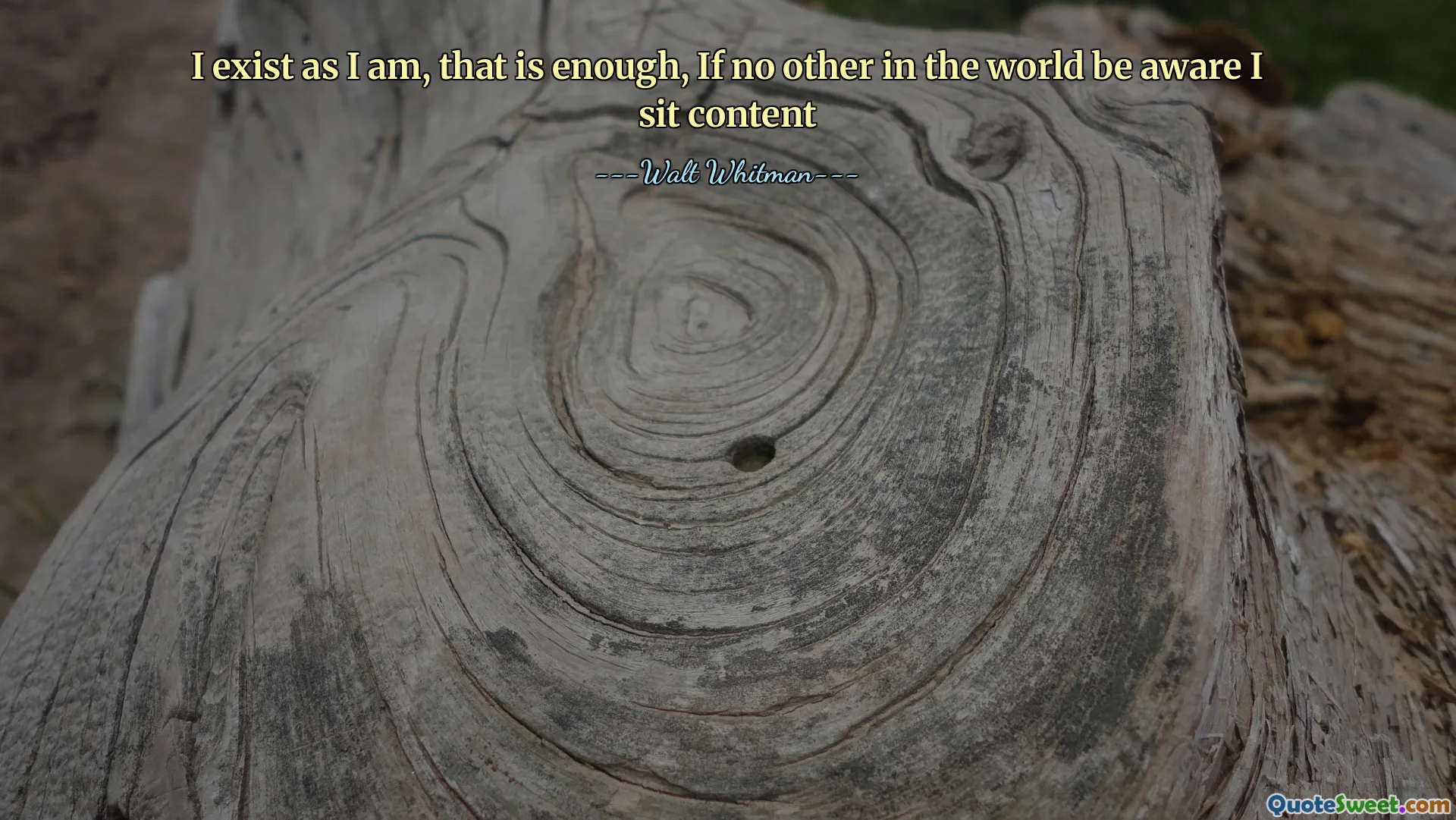 I exist as I am, that is enough, If no other in the world be aware I sit content