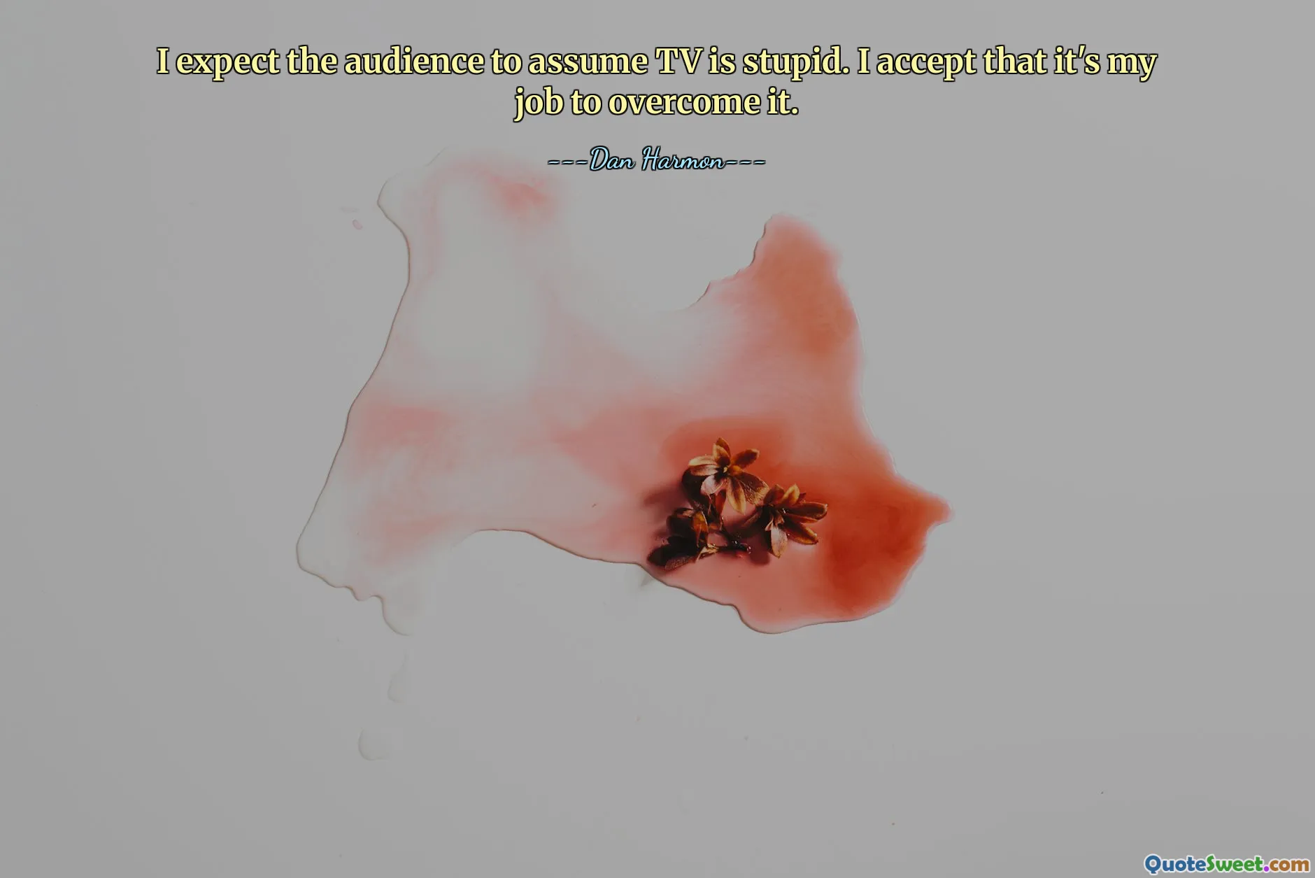 I expect the audience to assume TV is stupid. I accept that it's my job to overcome it.