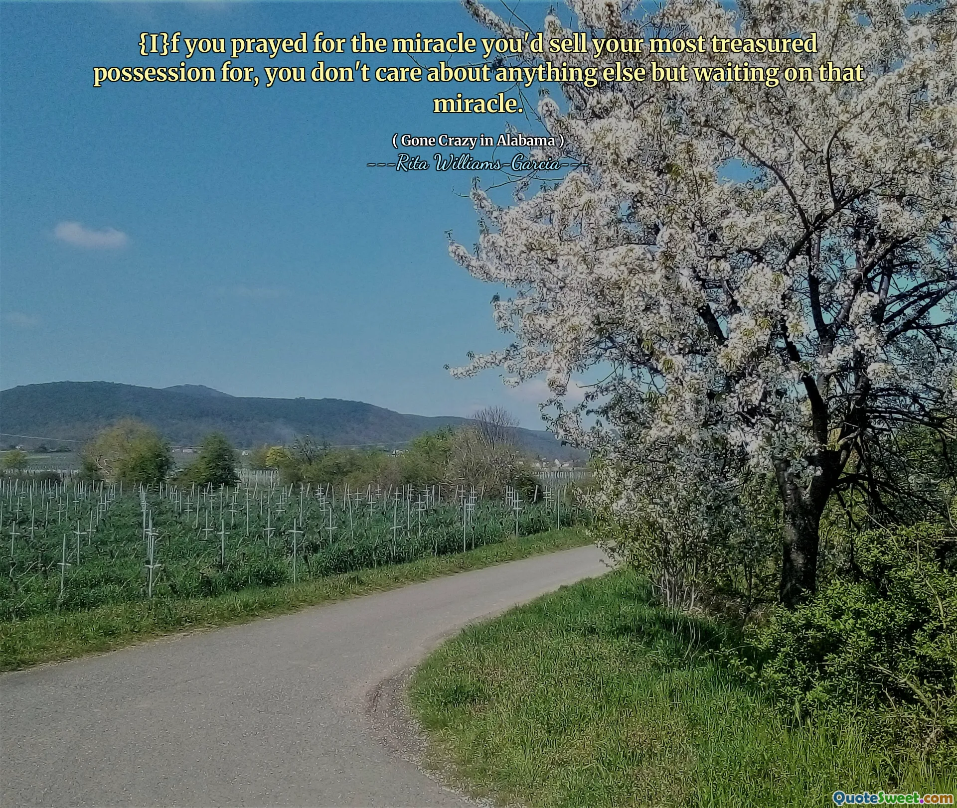 {I}f you prayed for the miracle you'd sell your most treasured possession for, you don't care about anything else but waiting on that miracle.