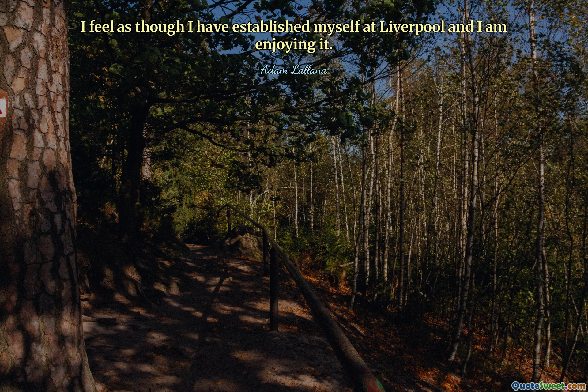 I feel as though I have established myself at Liverpool and I am enjoying it.