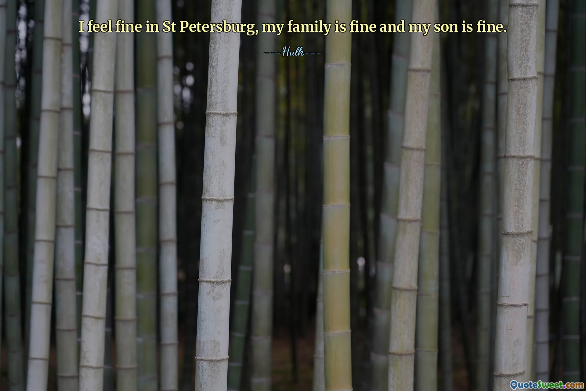 I feel fine in St Petersburg, my family is fine and my son is fine.