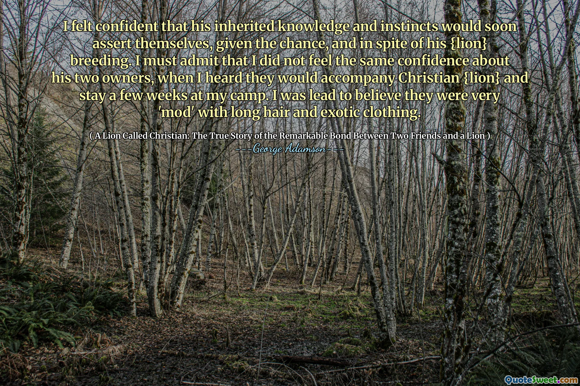 Я чувствовал себя уверенно, что его унаследованные знания и инстинкты вскоре будут утверждать себя, учитывая шанс и, несмотря на его разведение {лев. Я должен признать, что я не чувствовал такой же уверенности в его двух владельцах, когда я услышал, что они будут сопровождать христианин {лев} и оставаться на несколько недель в моем лагере. Я заставил верить, что они были очень «модом» с длинными волосами и экзотической одеждой.