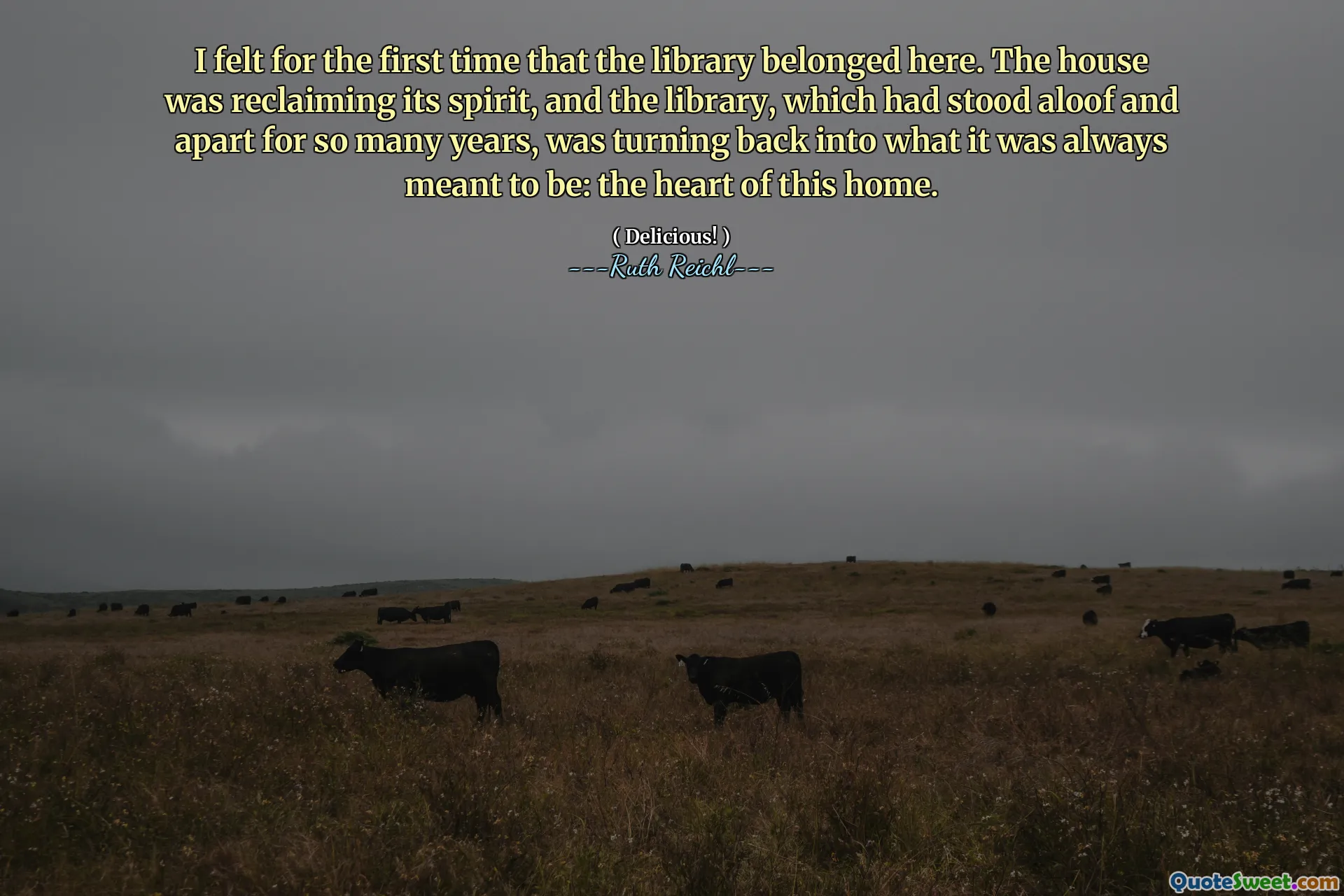 I felt for the first time that the library belonged here. The house was reclaiming its spirit, and the library, which had stood aloof and apart for so many years, was turning back into what it was always meant to be: the heart of this home.