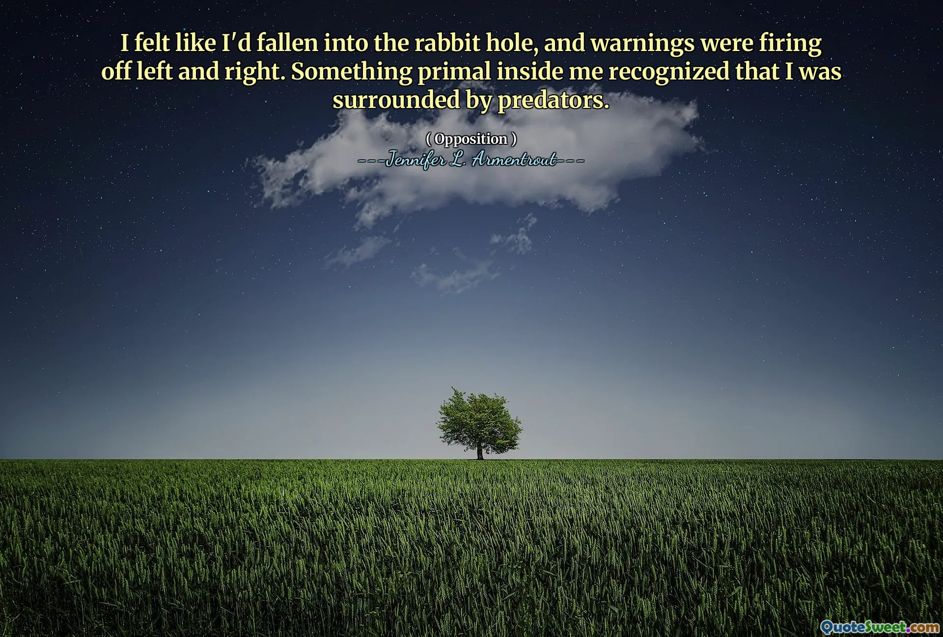 I felt like I'd fallen into the rabbit hole, and warnings were firing off left and right. Something primal inside me recognized that I was surrounded by predators.