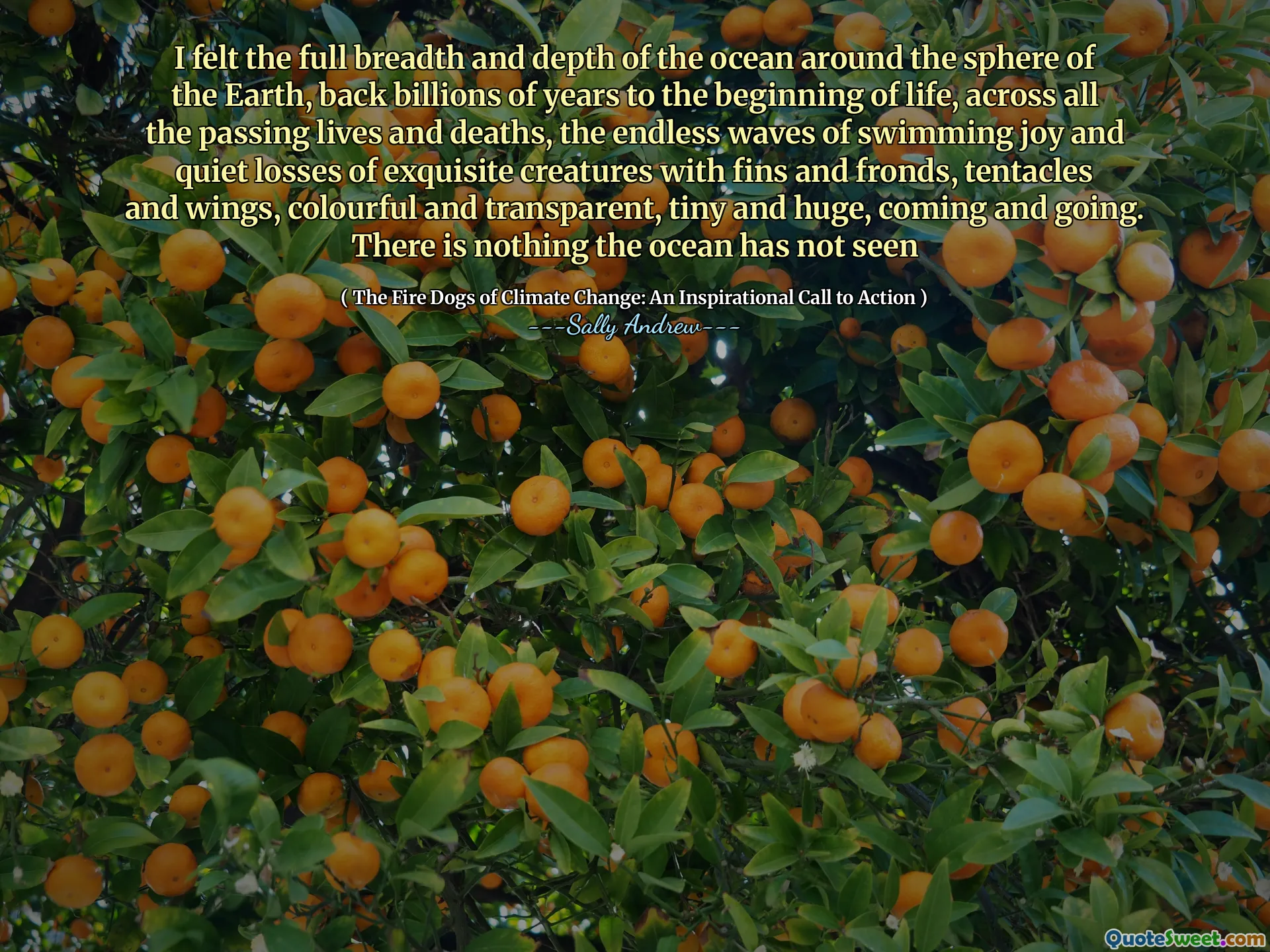 I felt the full breadth and depth of the ocean around the sphere of the Earth, back billions of years to the beginning of life, across all the passing lives and deaths, the endless waves of swimming joy and quiet losses of exquisite creatures with fins and fronds, tentacles and wings, colourful and transparent, tiny and huge, coming and going. There is nothing the ocean has not seen