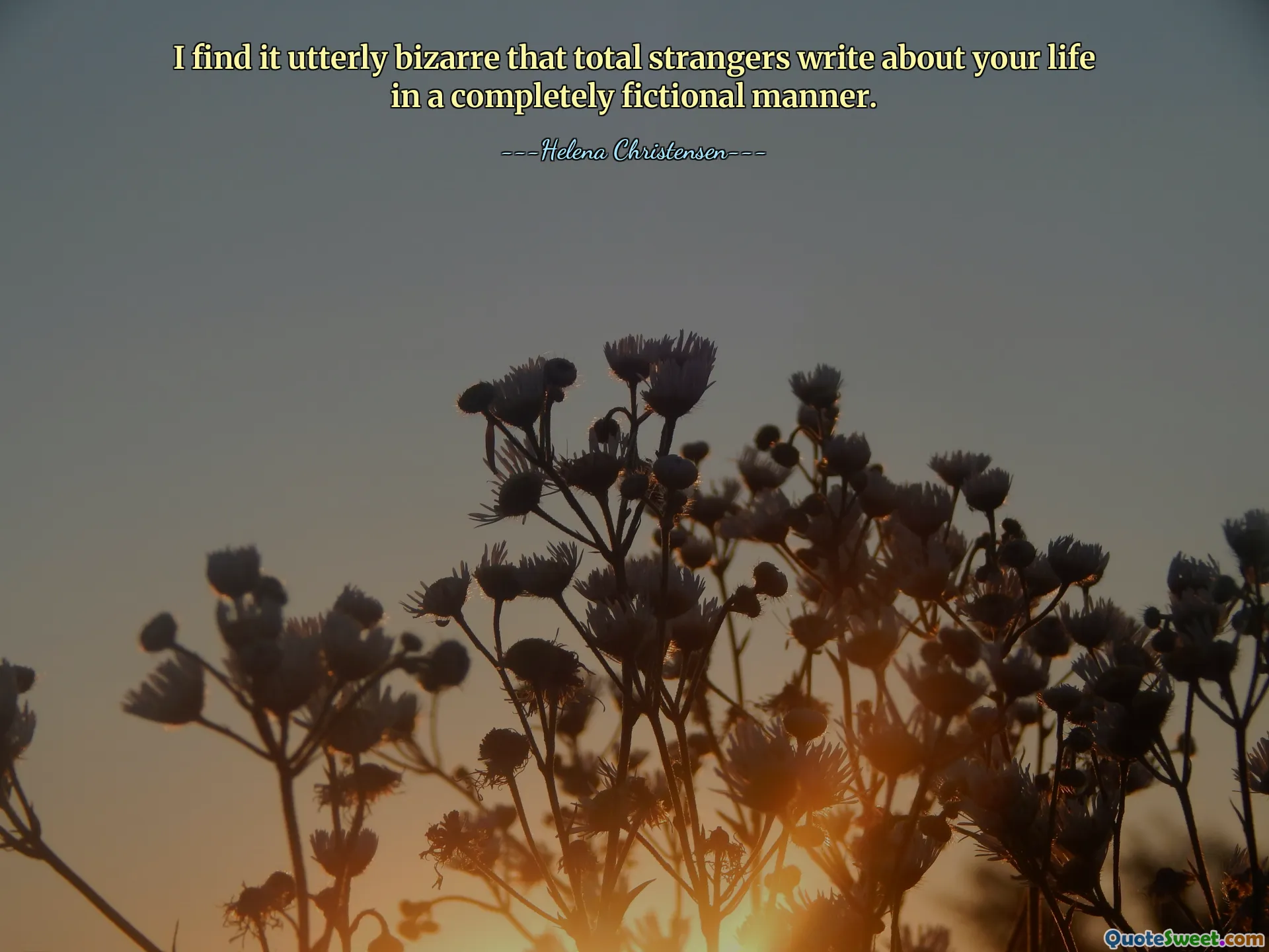 I find it utterly bizarre that total strangers write about your life in a completely fictional manner.