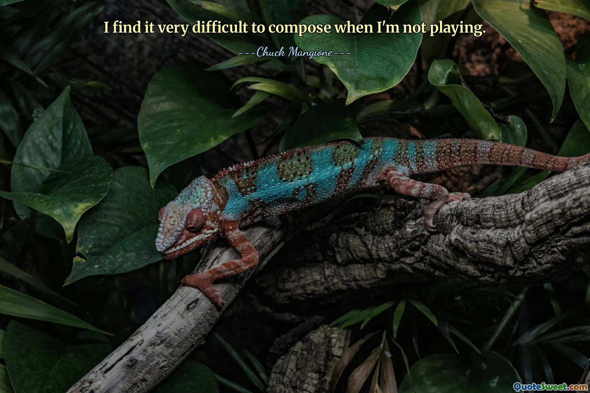 जब मैं नहीं खेल रहा होता हूं तो मुझे रचना करना बहुत मुश्किल लगता है।