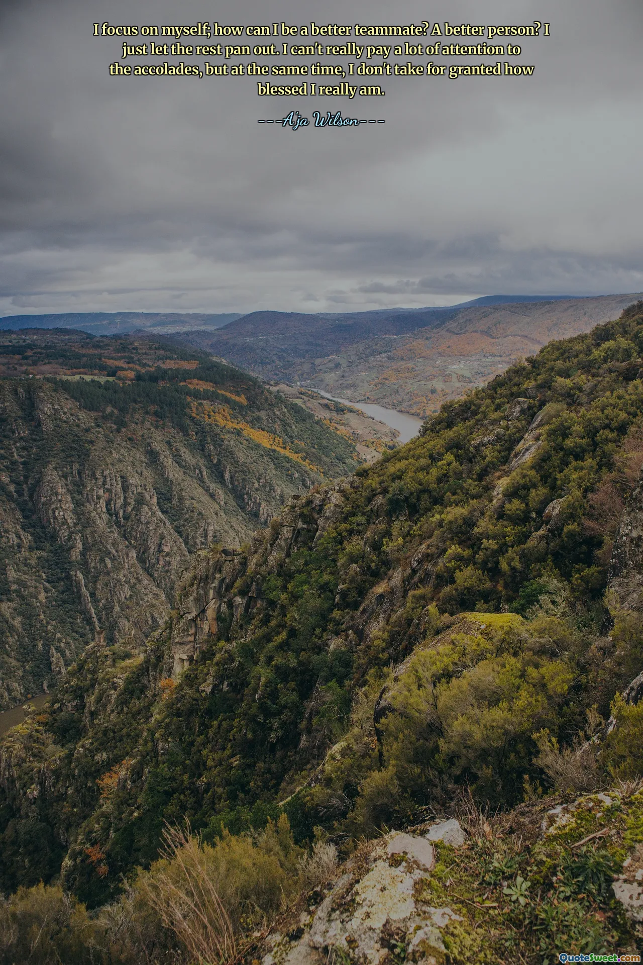 I focus on myself; how can I be a better teammate? A better person? I just let the rest pan out. I can't really pay a lot of attention to the accolades, but at the same time, I don't take for granted how blessed I really am.