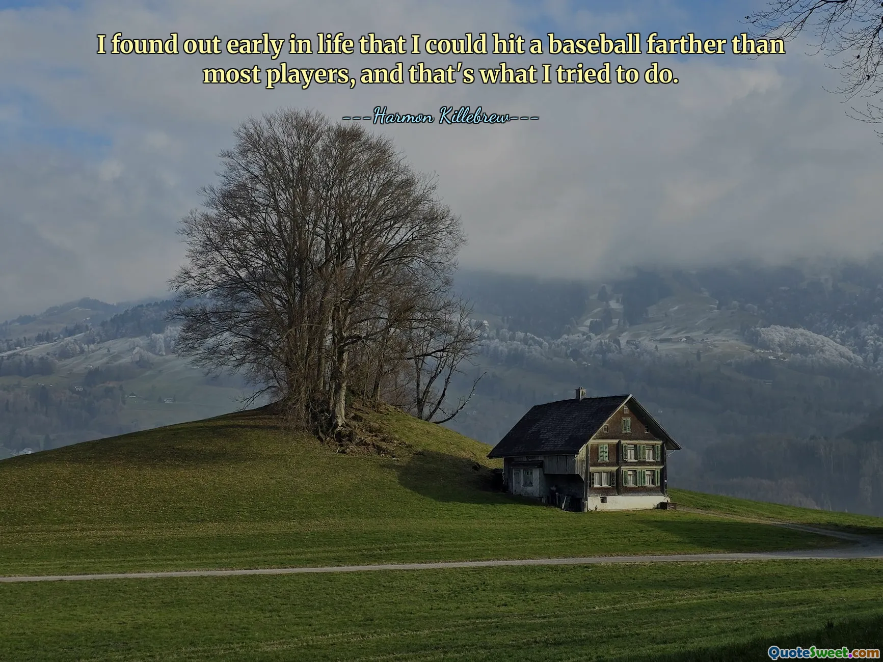 I found out early in life that I could hit a baseball farther than most players, and that's what I tried to do.