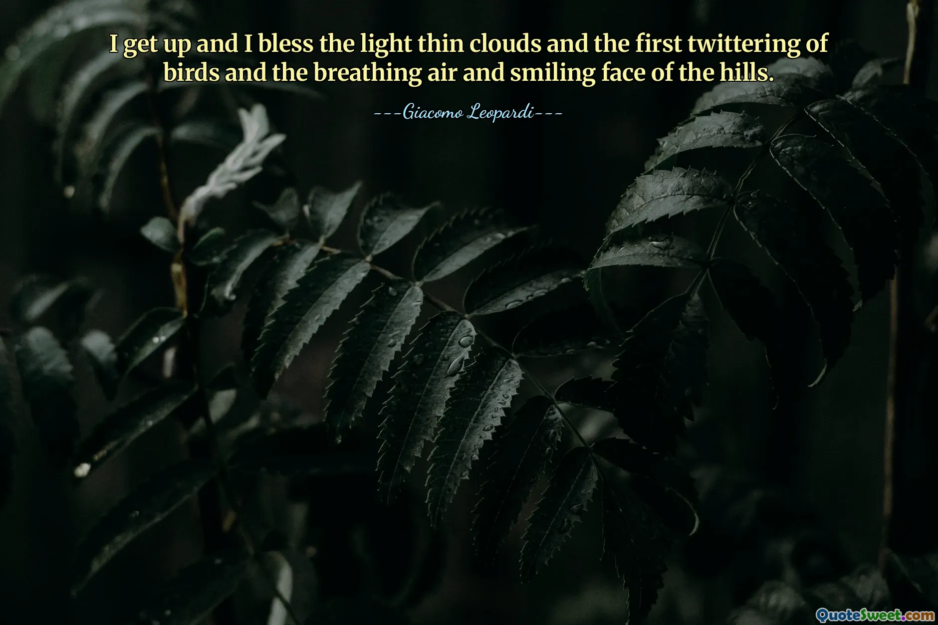 I get up and I bless the light thin clouds and the first twittering of birds and the breathing air and smiling face of the hills.