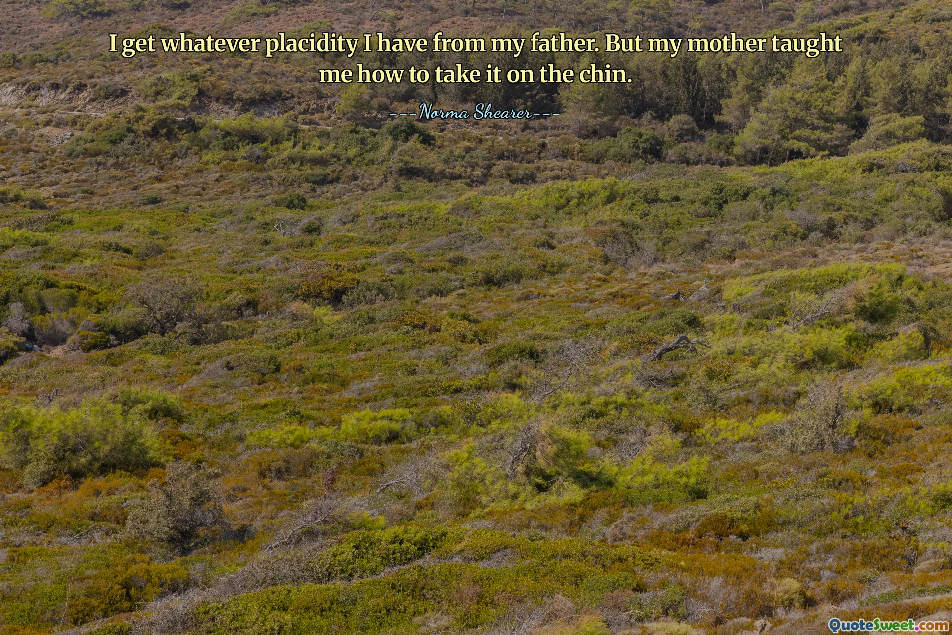 I get whatever placidity I have from my father. But my mother taught me how to take it on the chin.