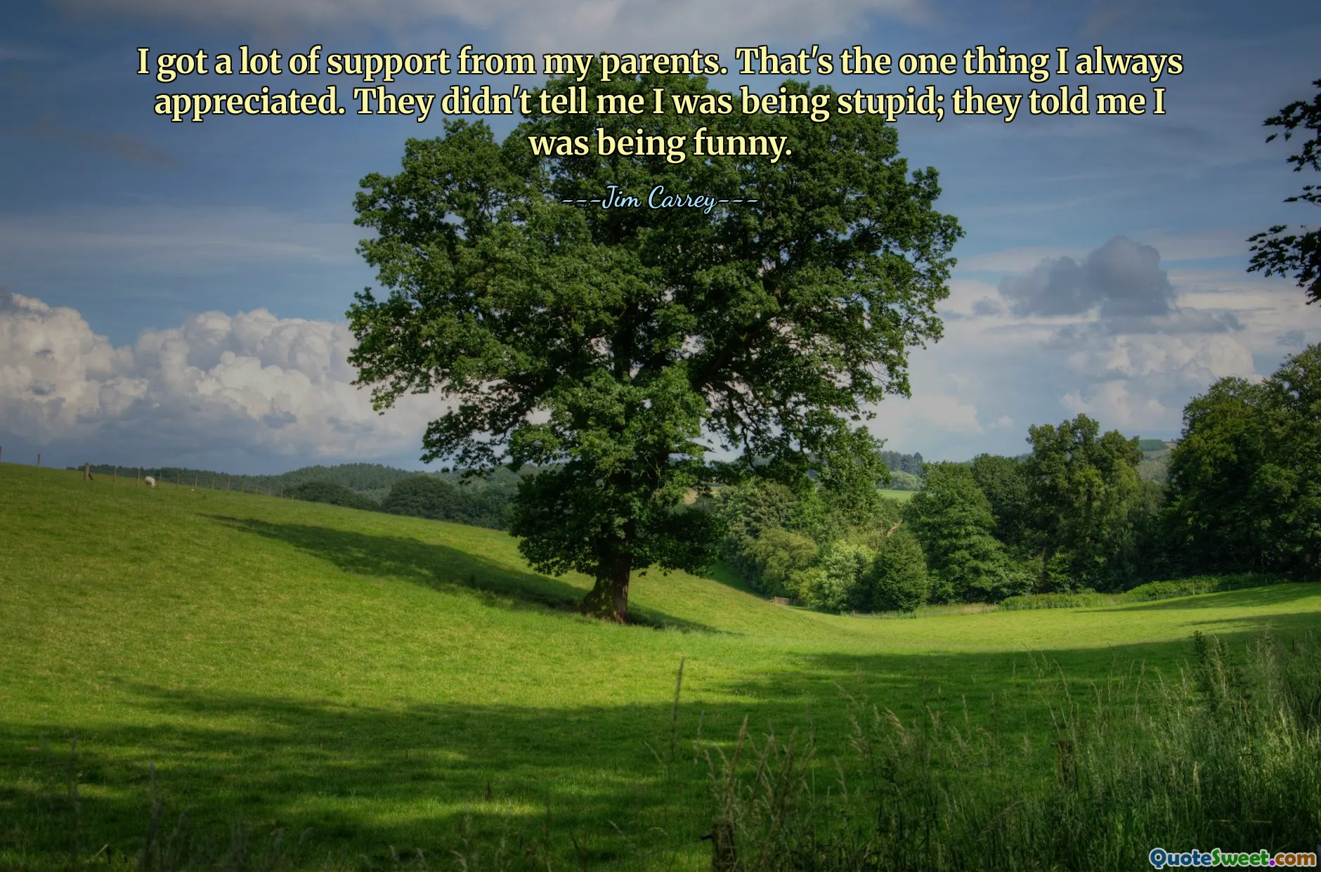 I got a lot of support from my parents. That's the one thing I always appreciated. They didn't tell me I was being stupid; they told me I was being funny.