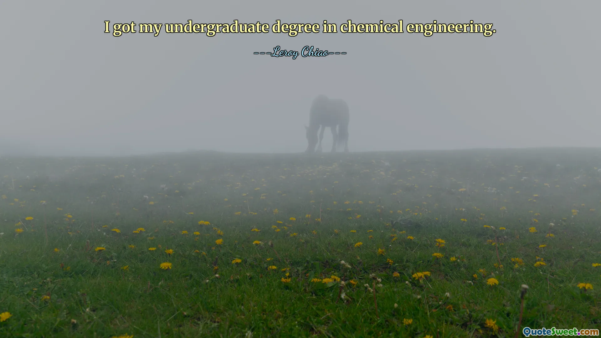 Obtuve mi título universitario en ingeniería química.