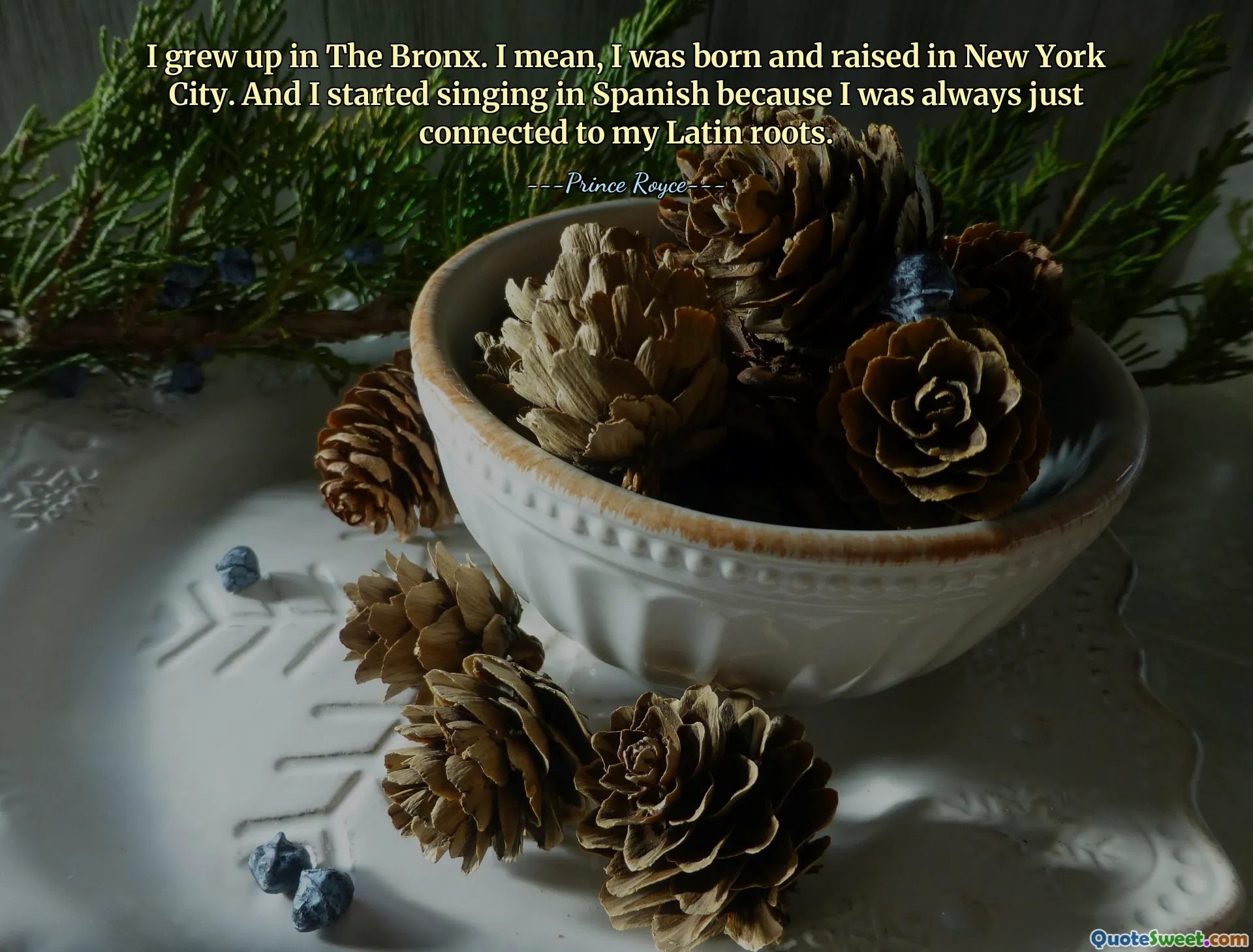Jag växte upp i Bronx. Jag menar, jag är född och uppvuxen i New York City. Och jag började sjunga på spanska eftersom jag alltid bara var kopplad till mina latinska rötter.