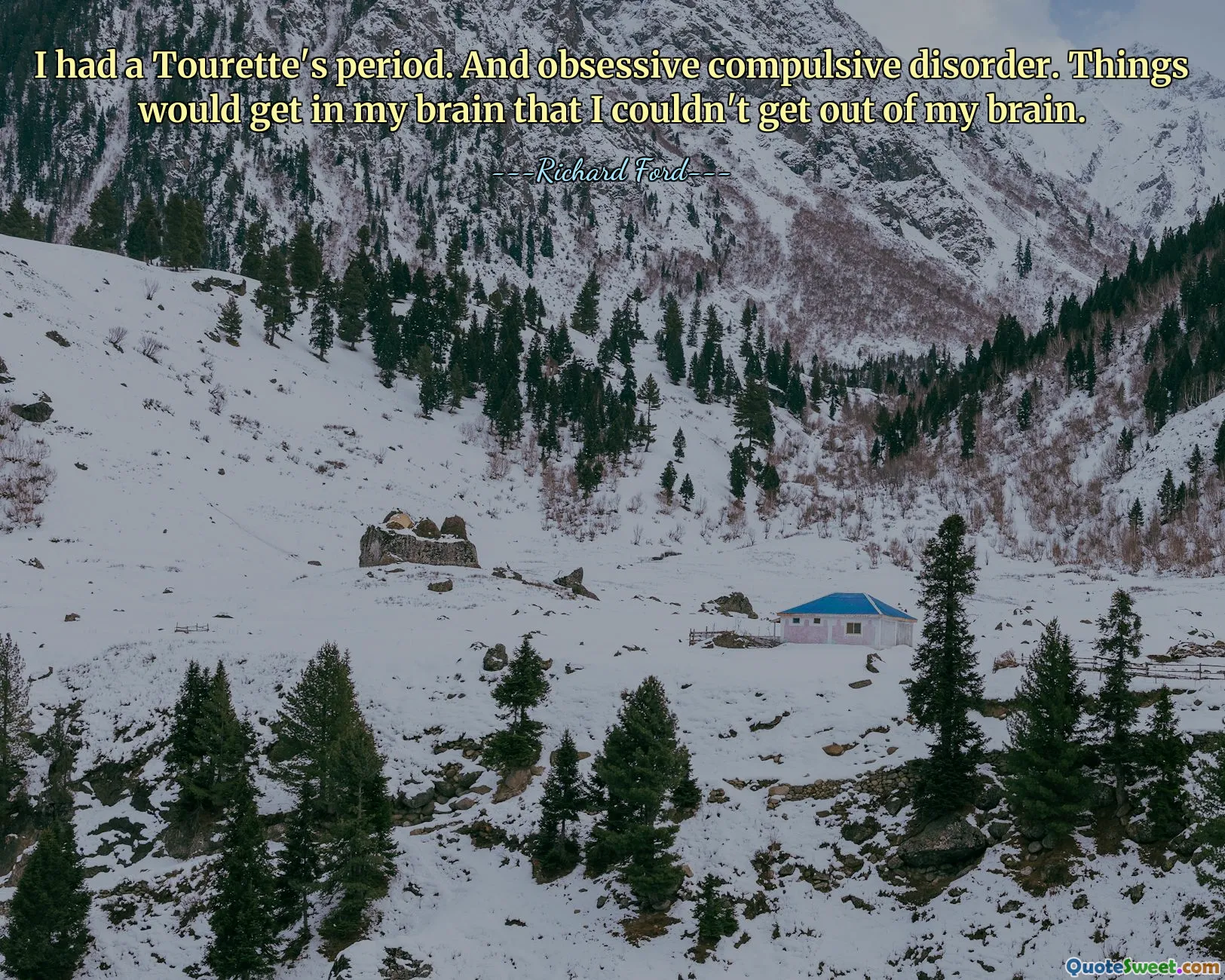 I had a Tourette's period. And obsessive compulsive disorder. Things would get in my brain that I couldn't get out of my brain.