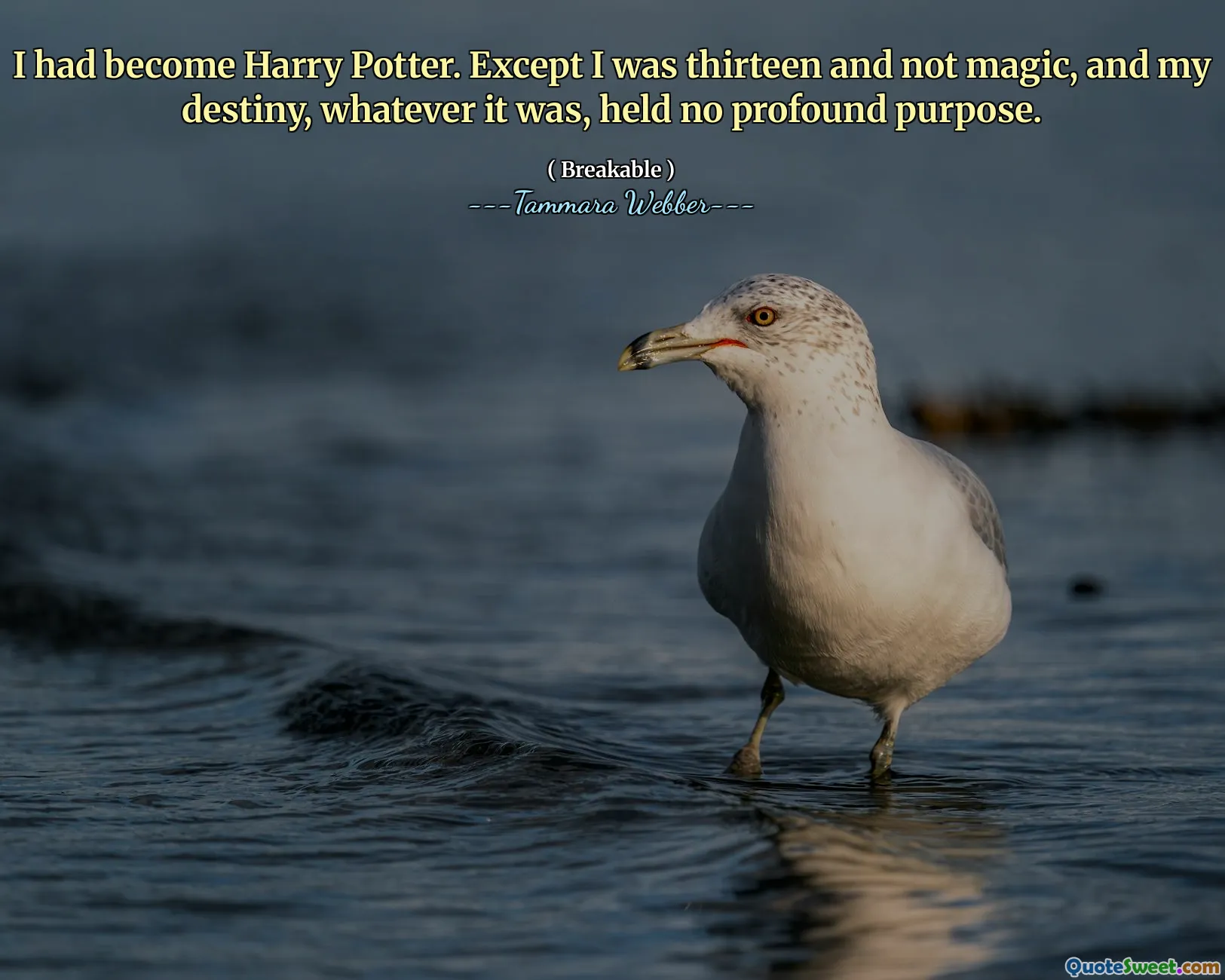 I had become Harry Potter. Except I was thirteen and not magic, and my destiny, whatever it was, held no profound purpose.