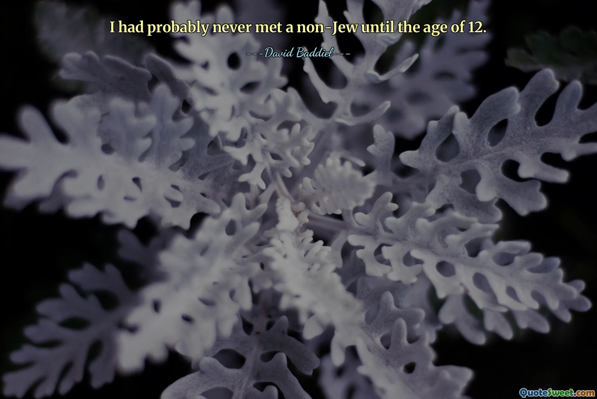 I had probably never met a non-Jew until the age of 12.