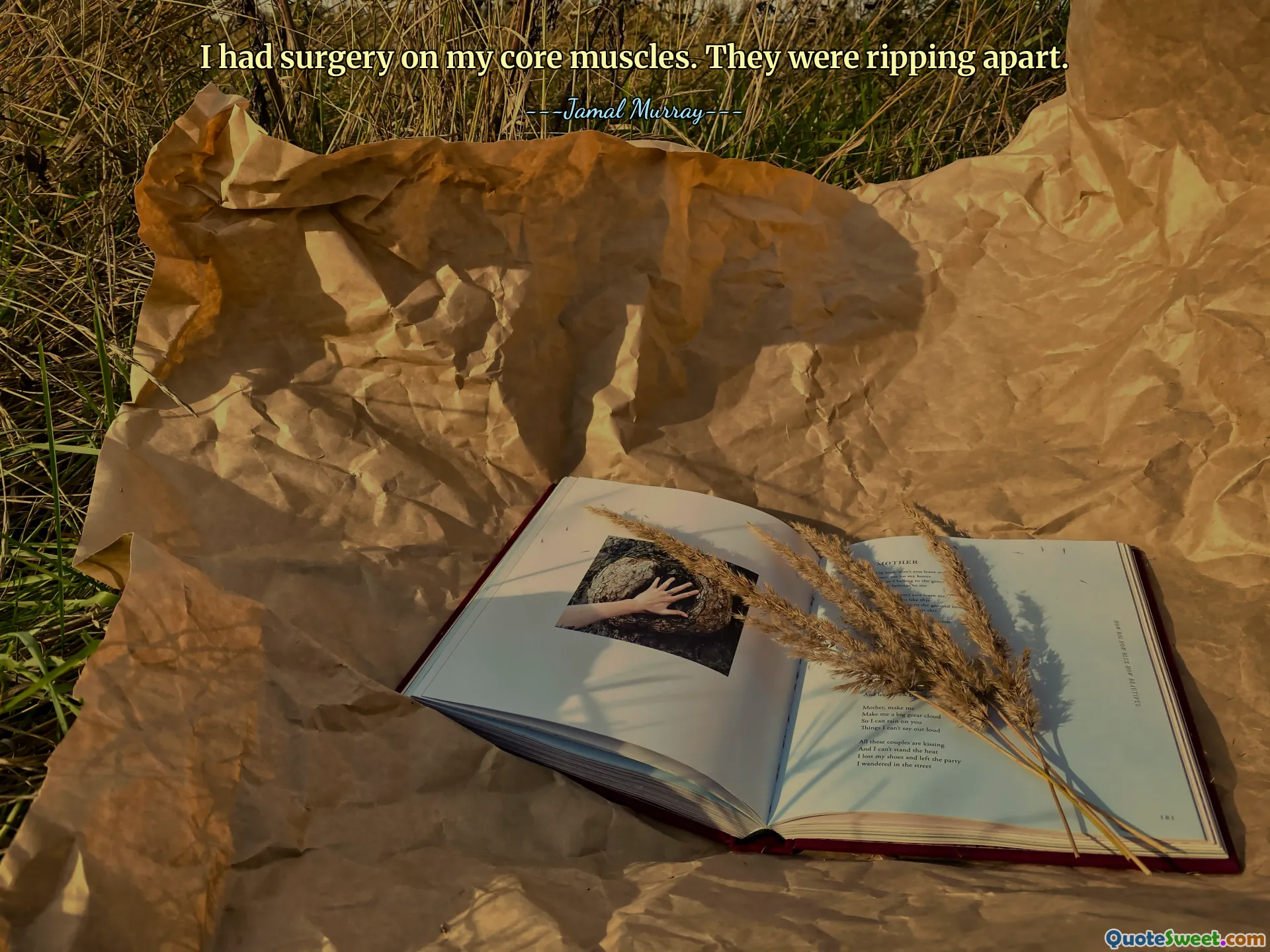 I had surgery on my core muscles. They were ripping apart.