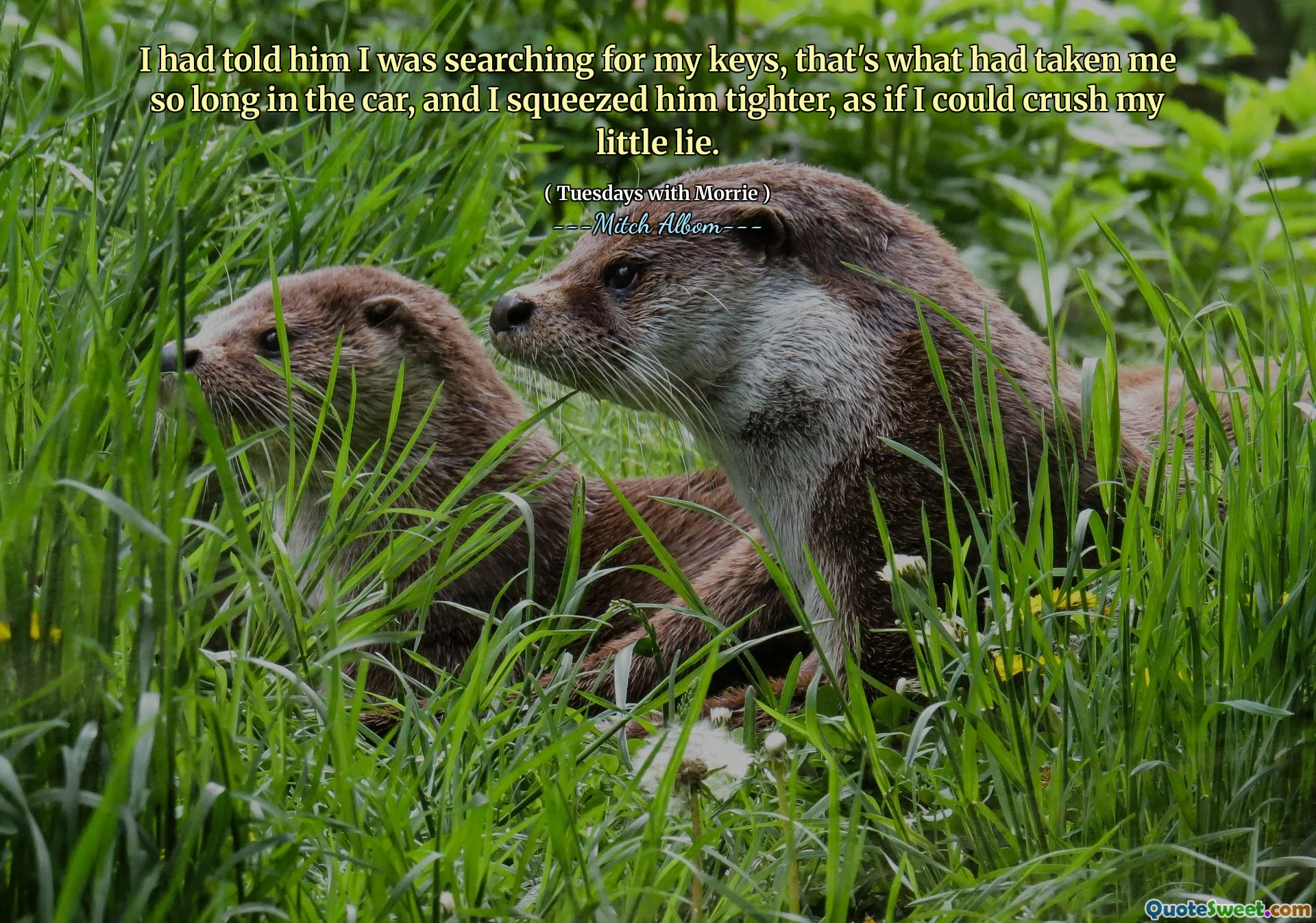 我告诉他我正在寻找我的钥匙，那就是我花了这么长时间的车，然后我将他挤进了更紧，好像我可以压碎我的小谎言。