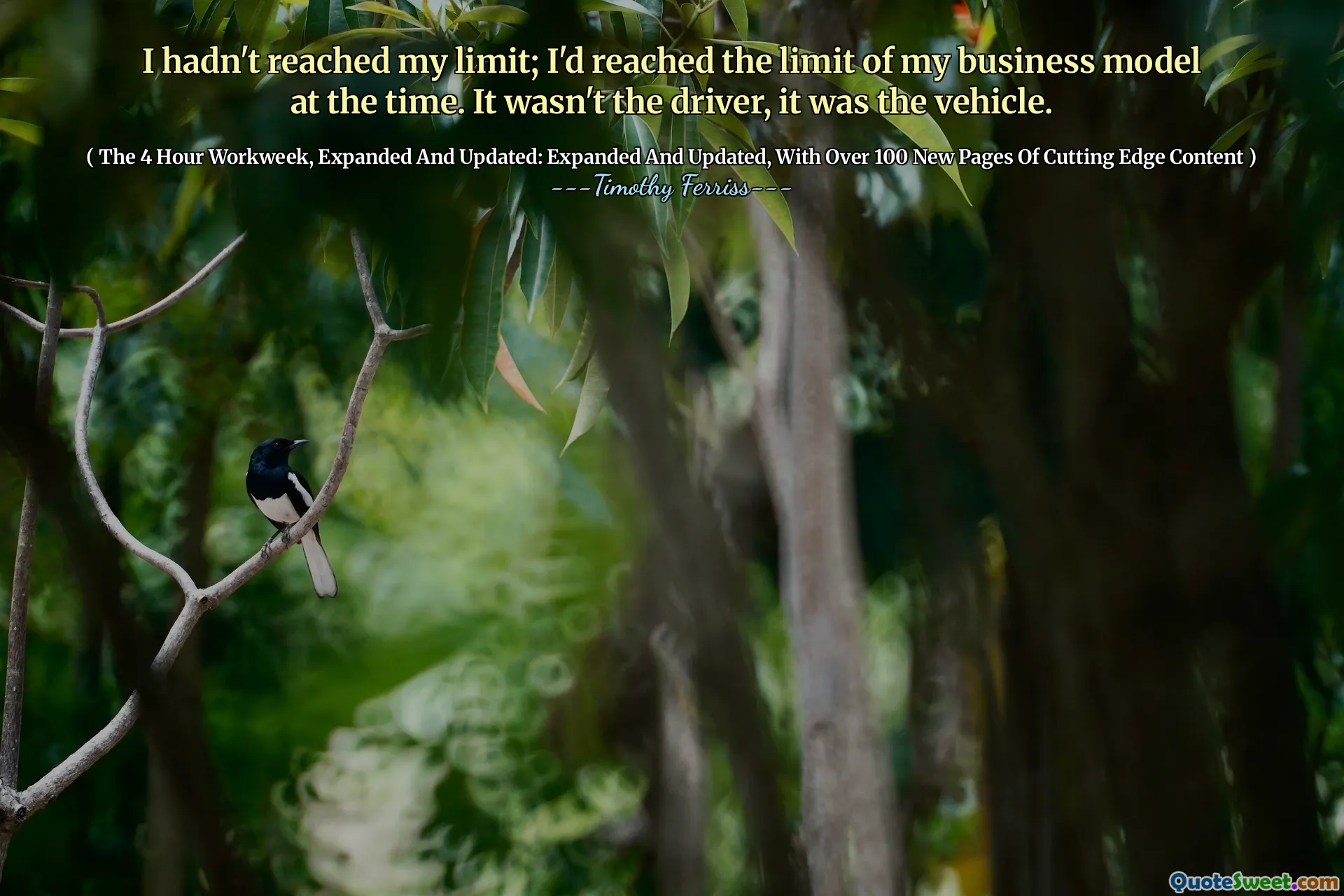 I hadn't reached my limit; I'd reached the limit of my business model at the time. It wasn't the driver, it was the vehicle.