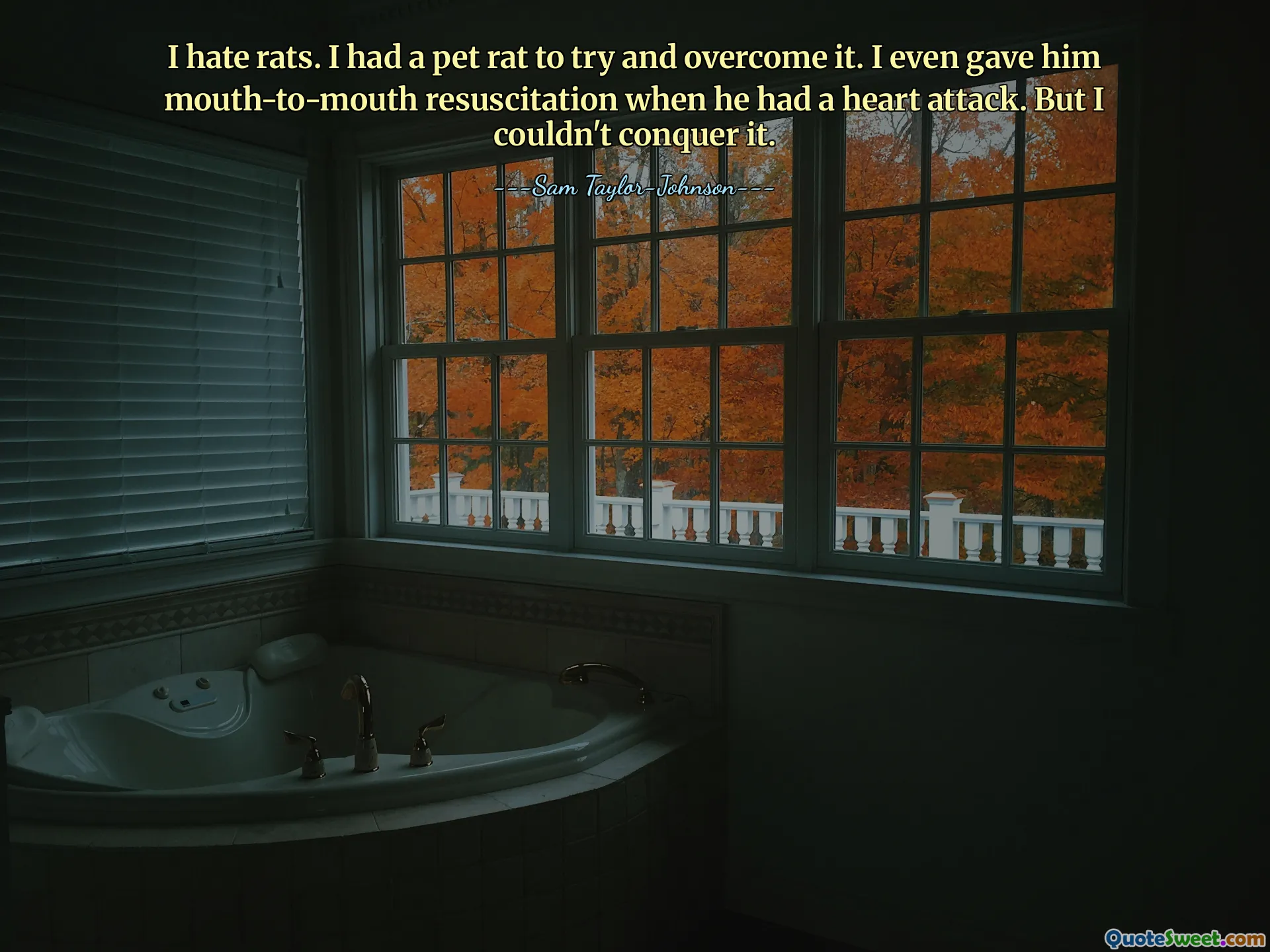 Ich hasse Ratten. Ich hatte eine Ratte als Haustier, um zu versuchen, es zu überwinden. Ich habe ihm sogar eine Mund-zu-Mund-Beatmung gegeben, als er einen Herzinfarkt hatte. Aber ich konnte es nicht erobern.