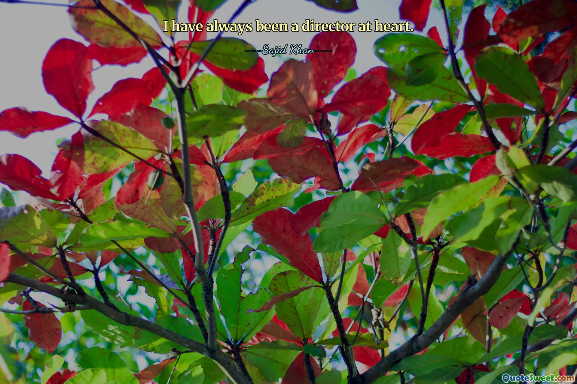 मैं दिल से हमेशा एक निर्देशक रहा हूं।