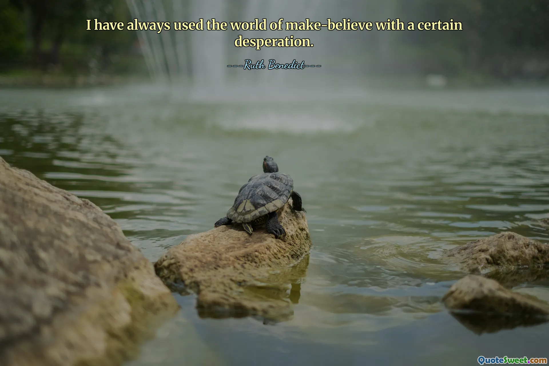 我总是带着某种绝望来使用虚构的世界。