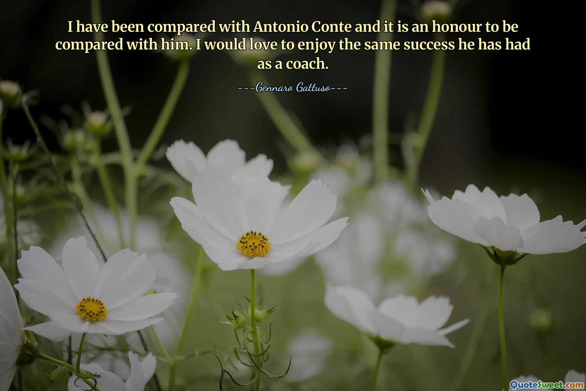 I have been compared with Antonio Conte and it is an honour to be compared with him. I would love to enjoy the same success he has had as a coach.