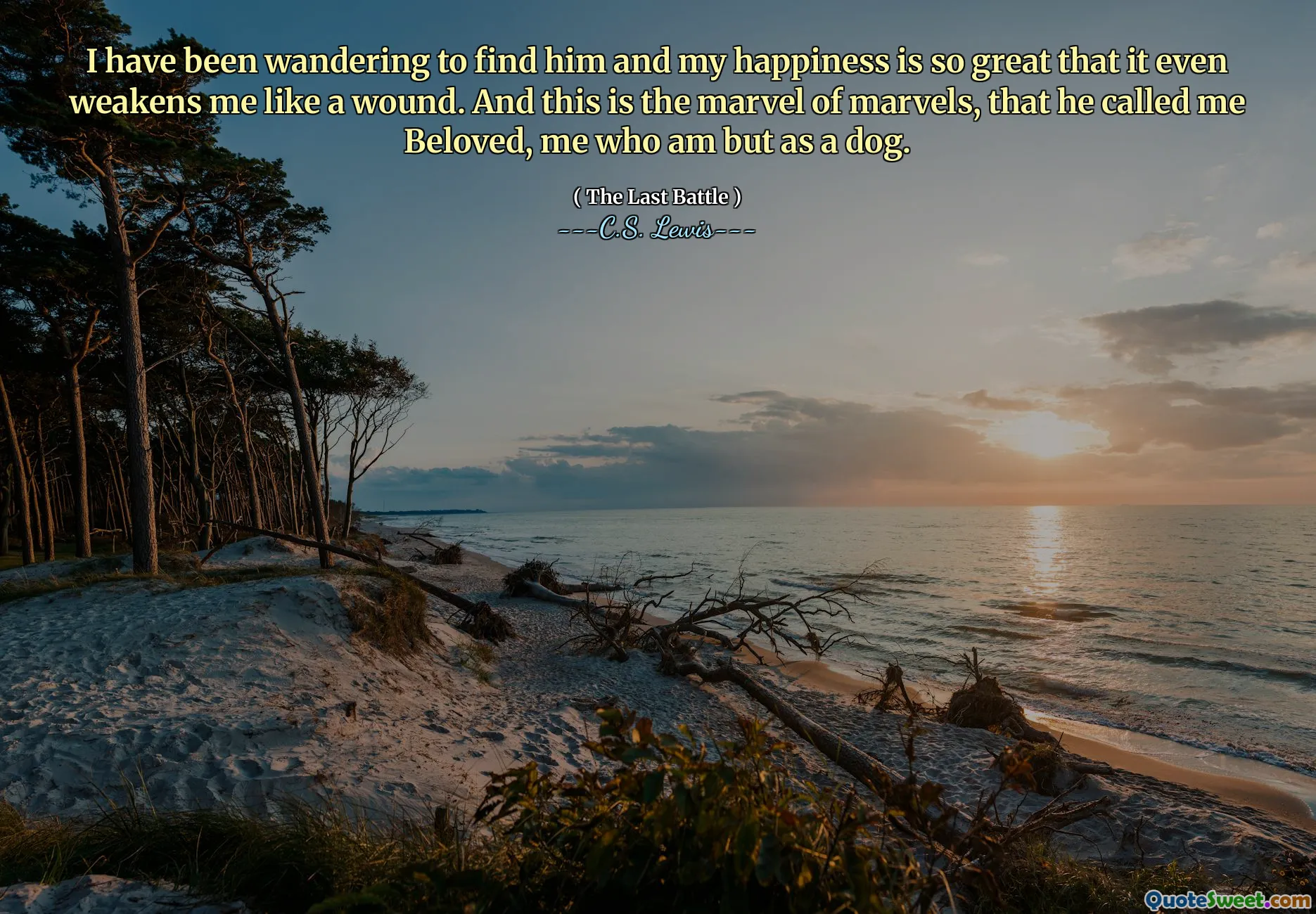 I have been wandering to find him and my happiness is so great that it even weakens me like a wound. And this is the marvel of marvels, that he called me Beloved, me who am but as a dog.