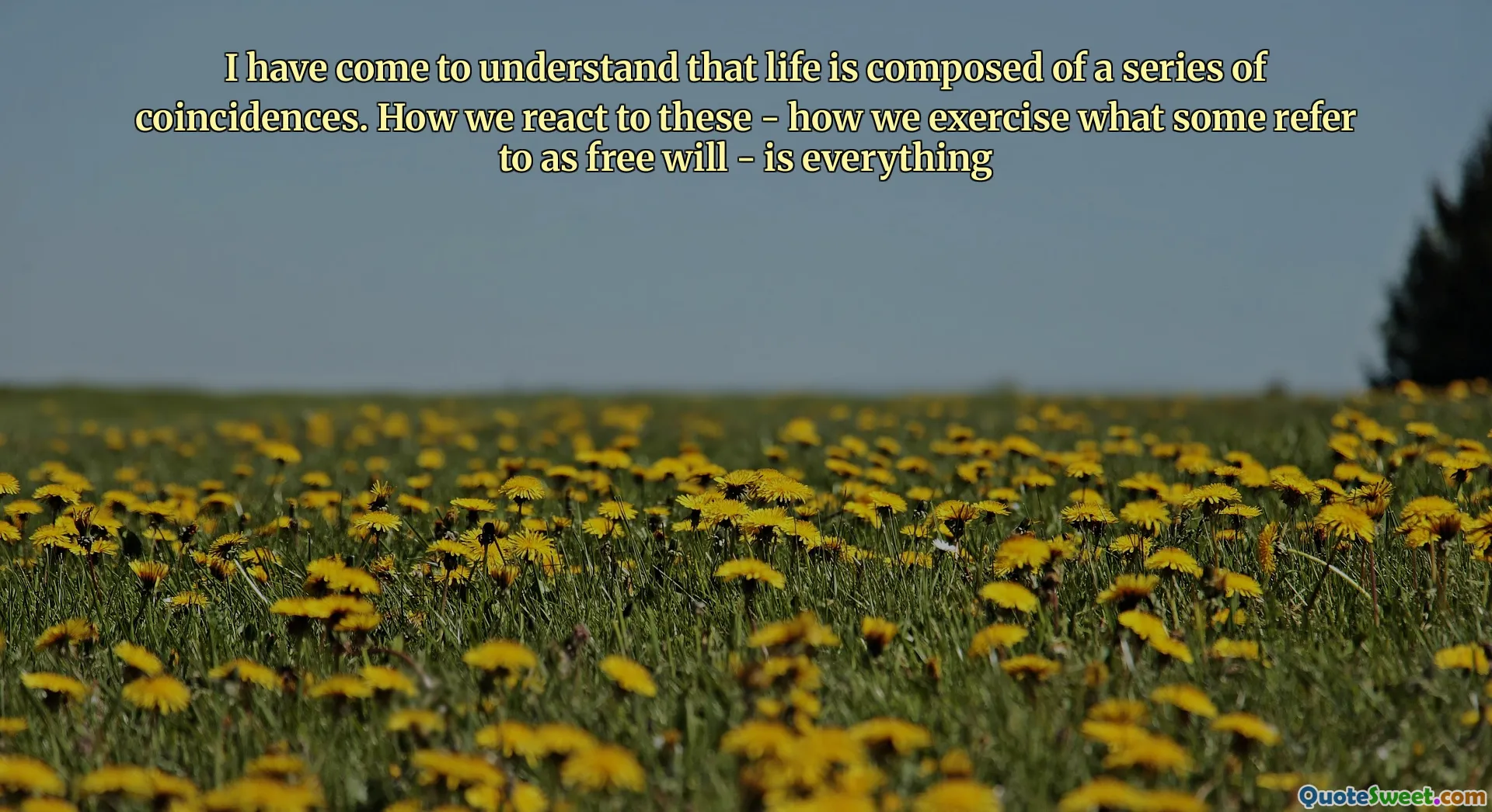 I have come to understand that life is composed of a series of coincidences. How we react to these - how we exercise what some refer to as free will - is everything