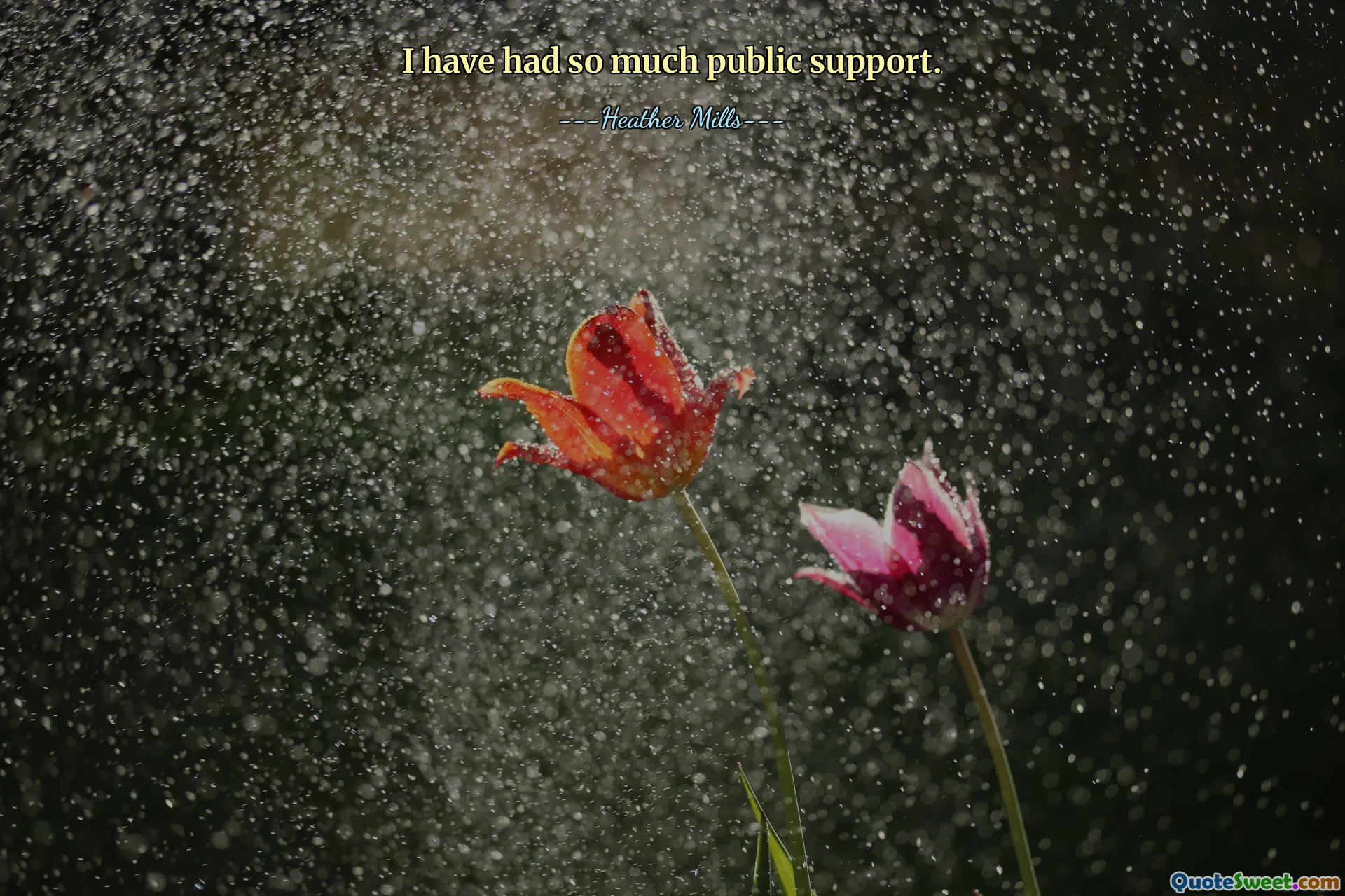 I have had so much public support.