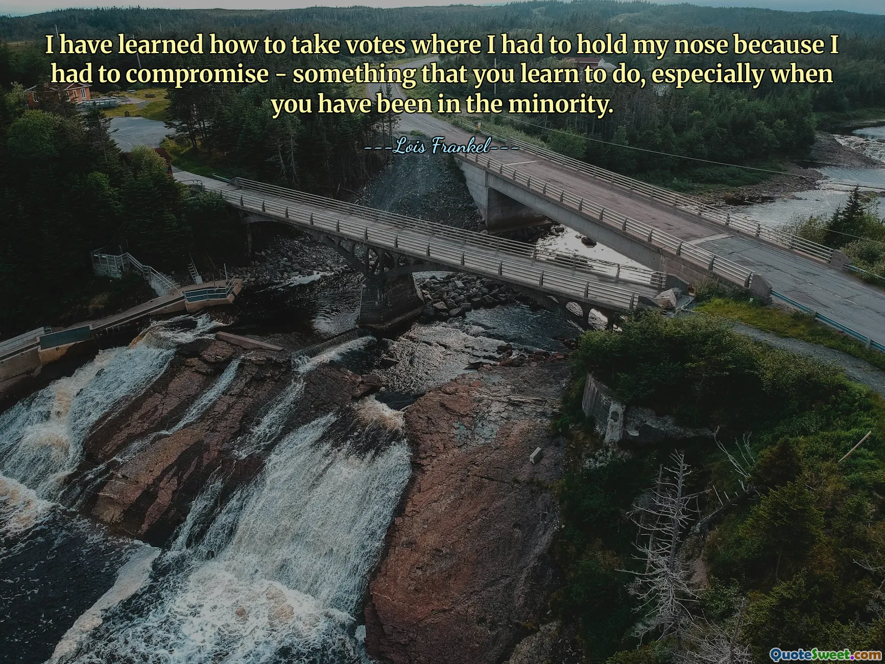 I have learned how to take votes where I had to hold my nose because I had to compromise - something that you learn to do, especially when you have been in the minority.