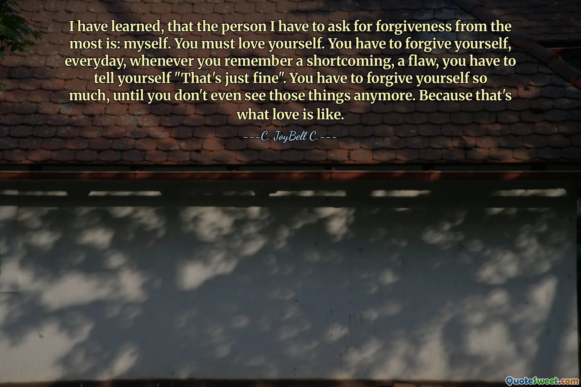 I have learned, that the person I have to ask for forgiveness from the most is: myself. You must love yourself. You have to forgive yourself, everyday, whenever you remember a shortcoming, a flaw, you have to tell yourself "That's just fine". You have to forgive yourself so much, until you don't even see those things anymore. Because that's what love is like.