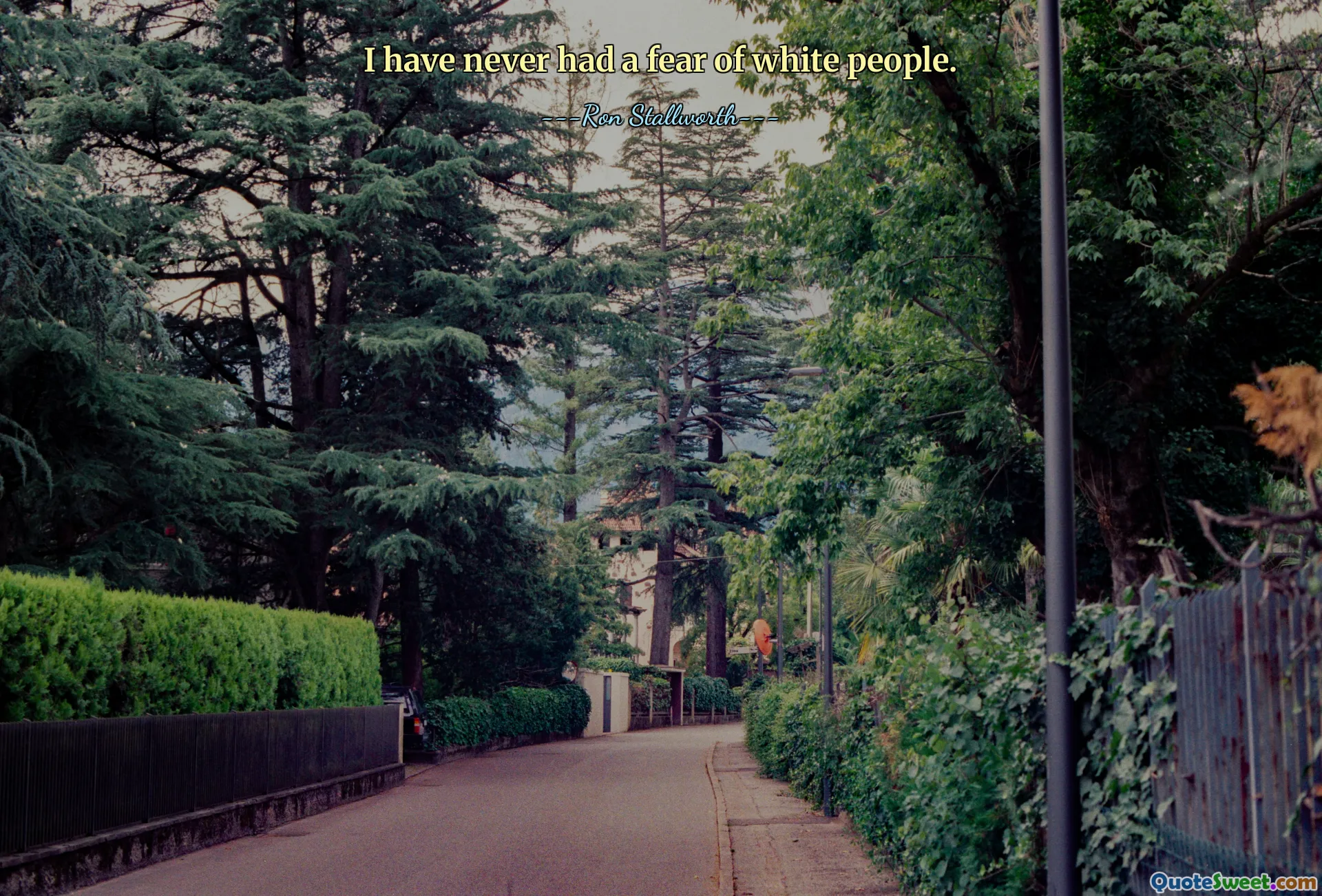 I have never had a fear of white people.