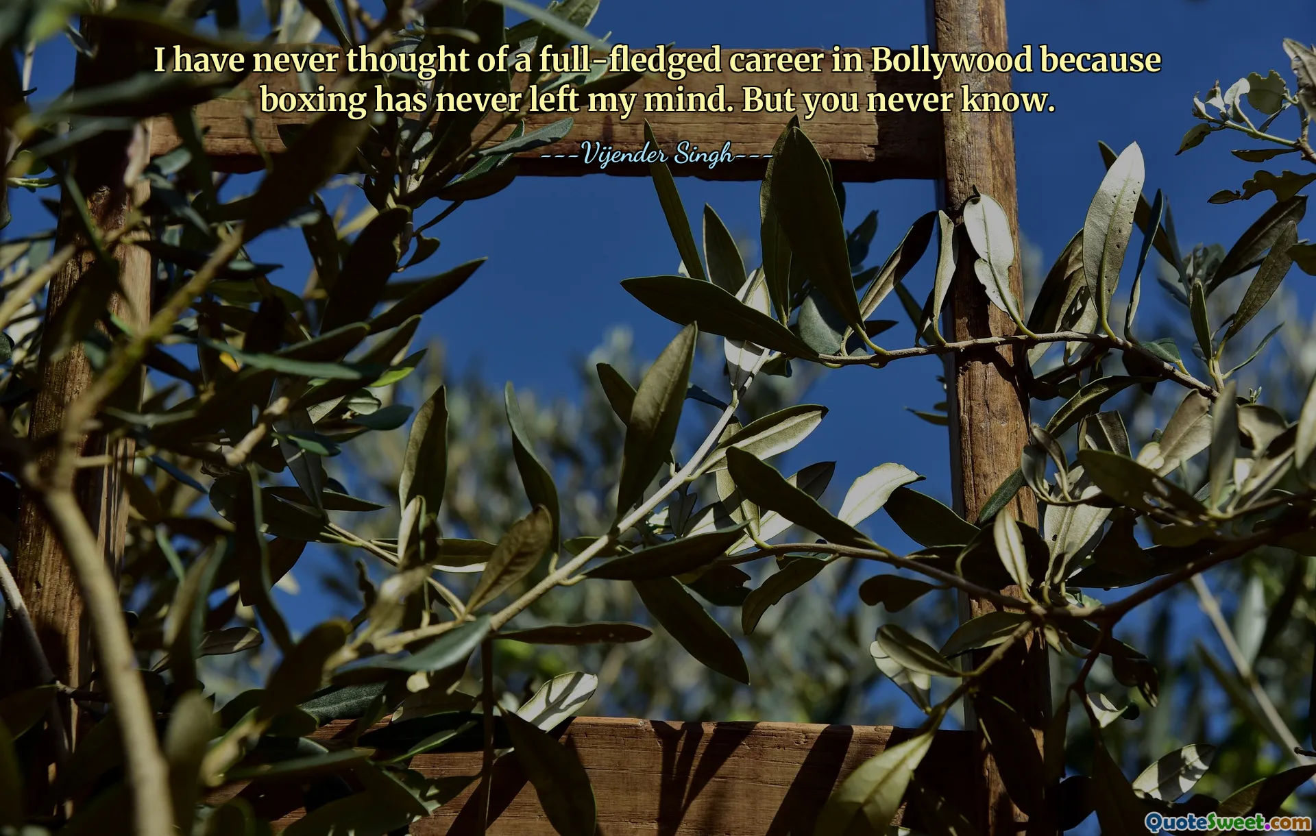 I have never thought of a full-fledged career in Bollywood because boxing has never left my mind. But you never know.