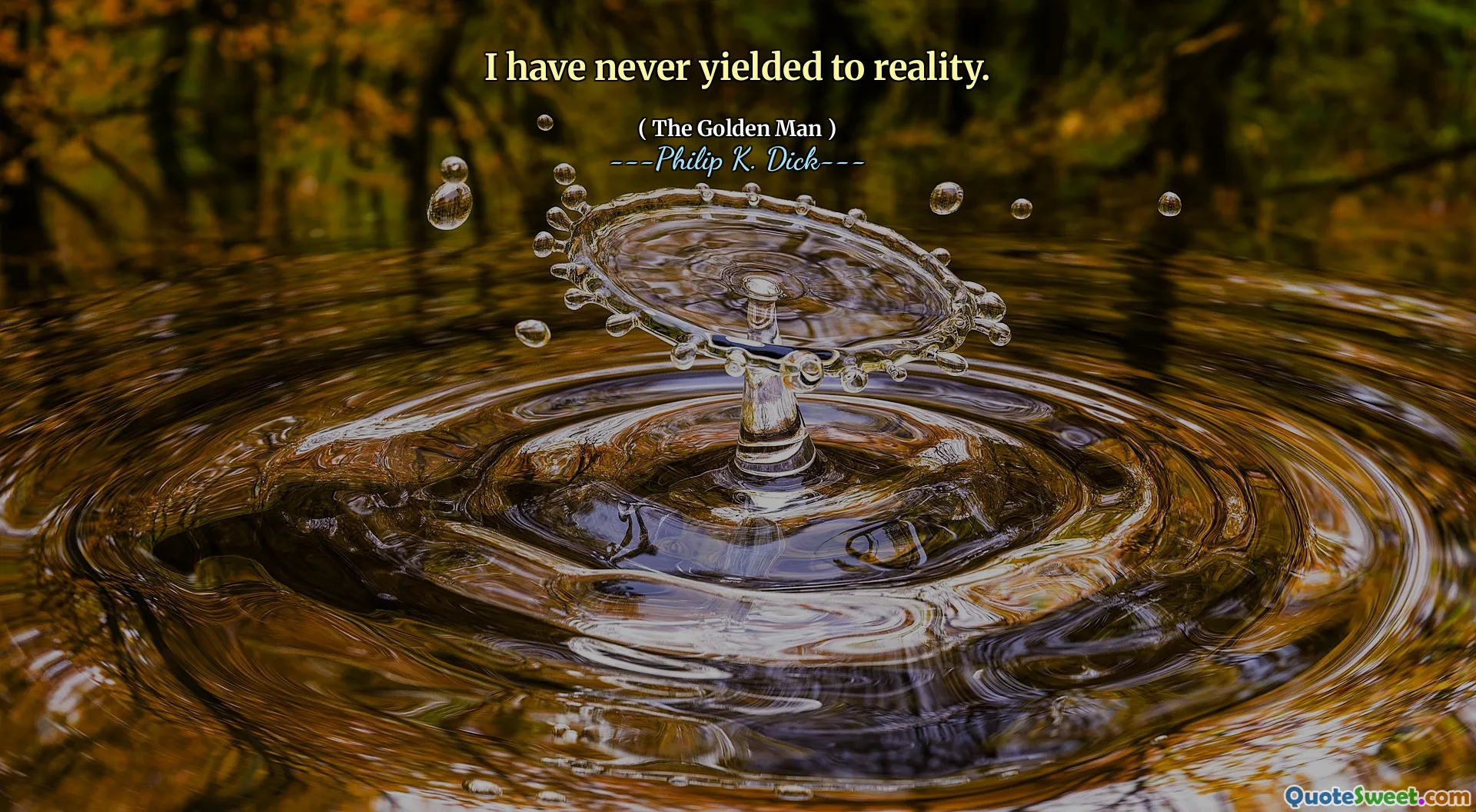 我从未屈服于现实。