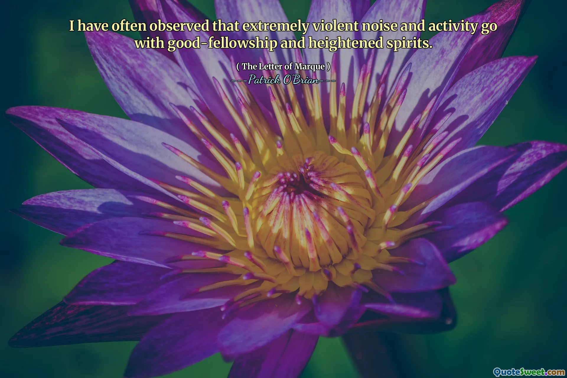 I have often observed that extremely violent noise and activity go with good-fellowship and heightened spirits.