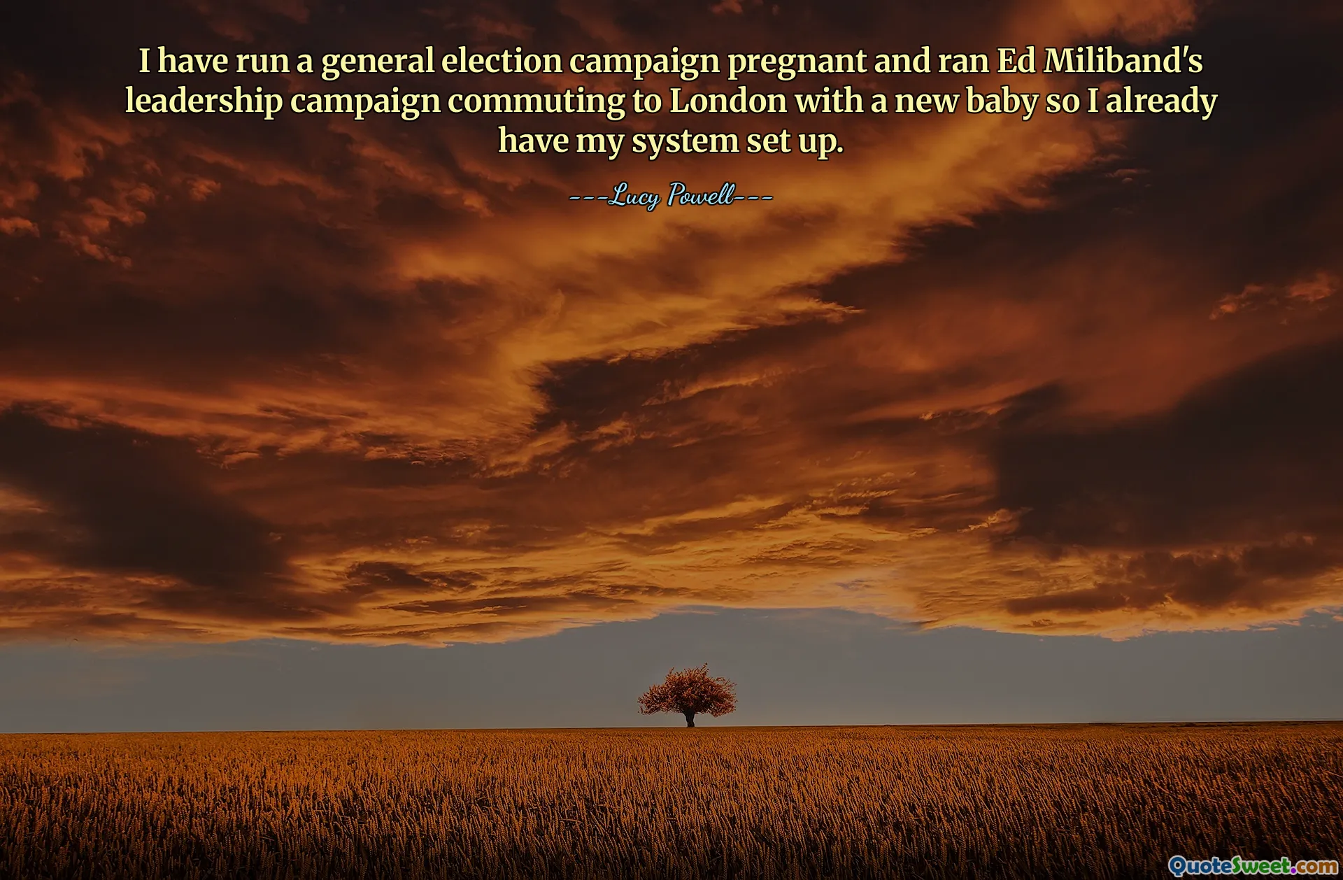 私は妊娠中に総選挙キャンペーンを実行し、生まれたばかりの赤ちゃんを連れてロンドンに通勤しながらエド・ミリバンドの指導者キャンペーンを実行したため、システムはすでにセットアップされています。